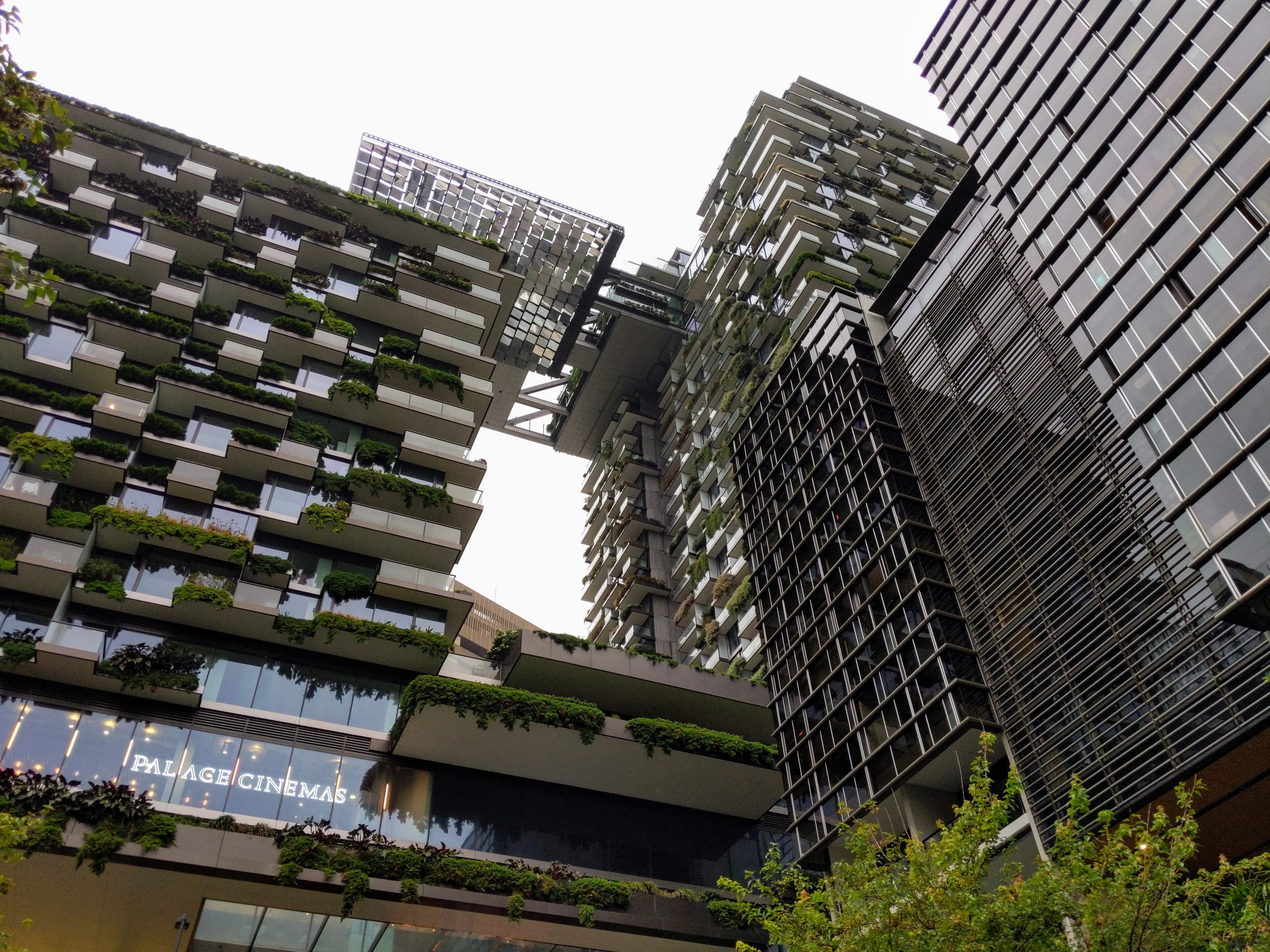 architecture central park.CDIA_WyM.jpg