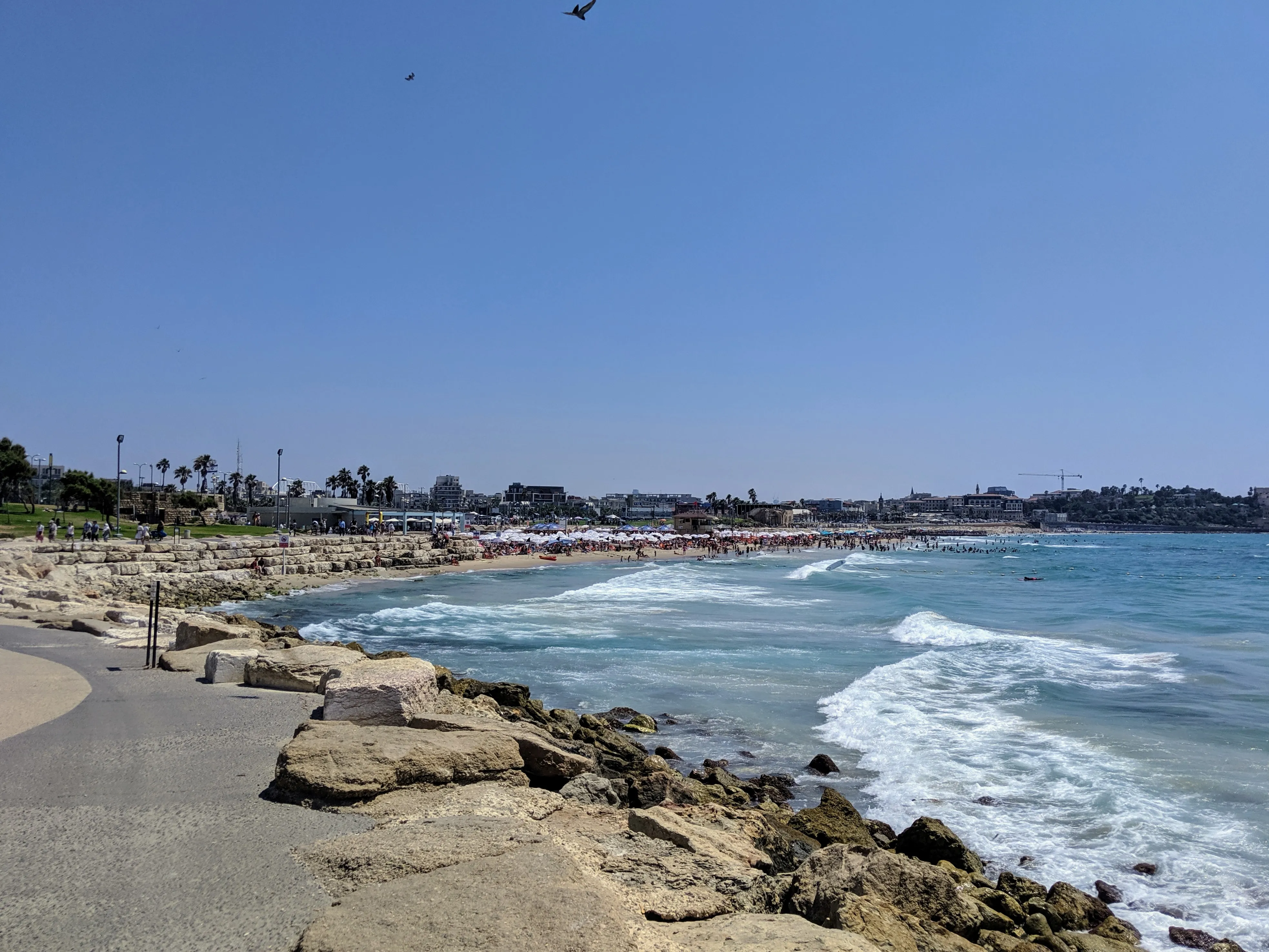 beach.BOQlp1vA.jpg
