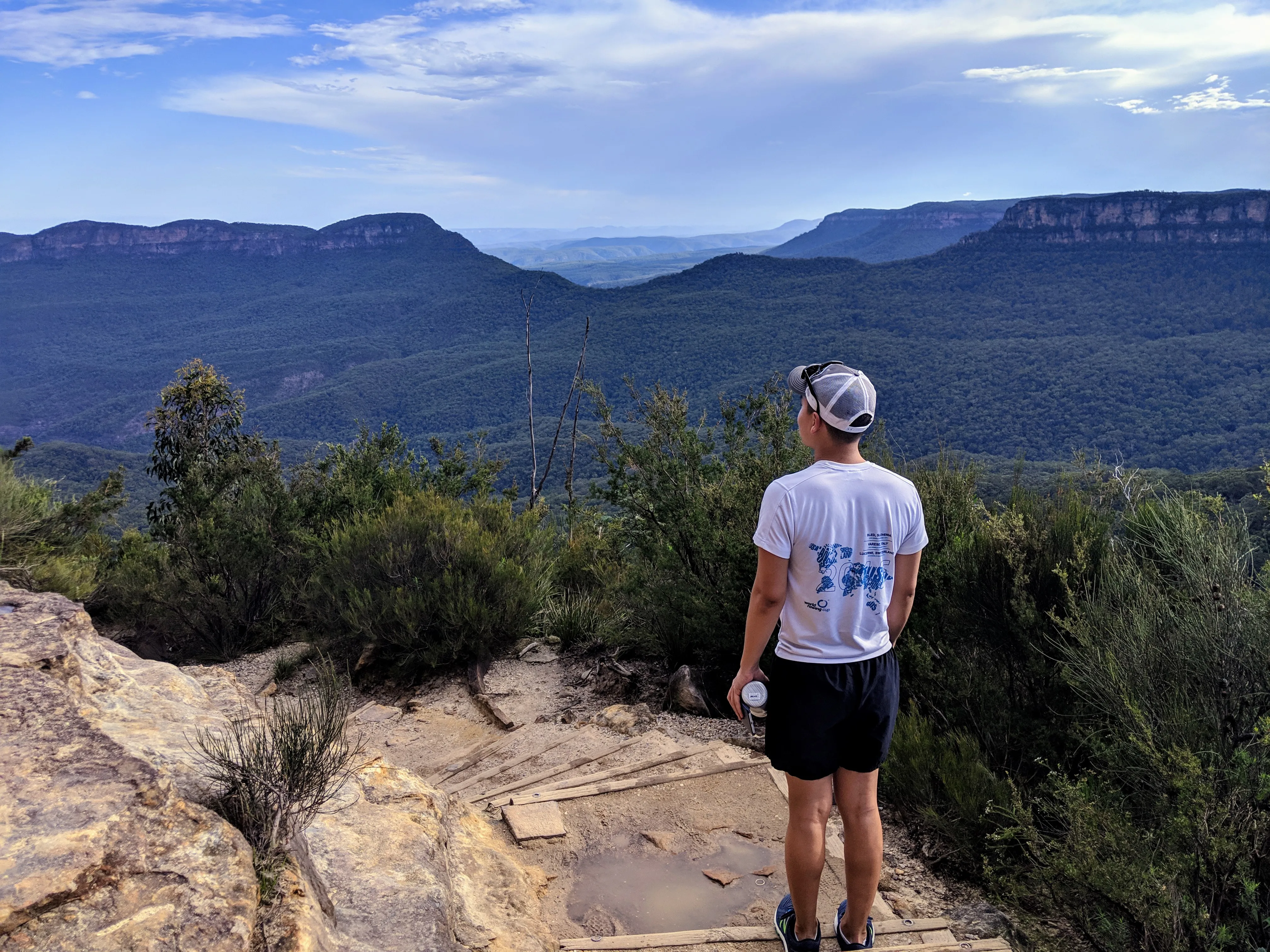 blue mountains view yj.CUynr9E9.jpg
