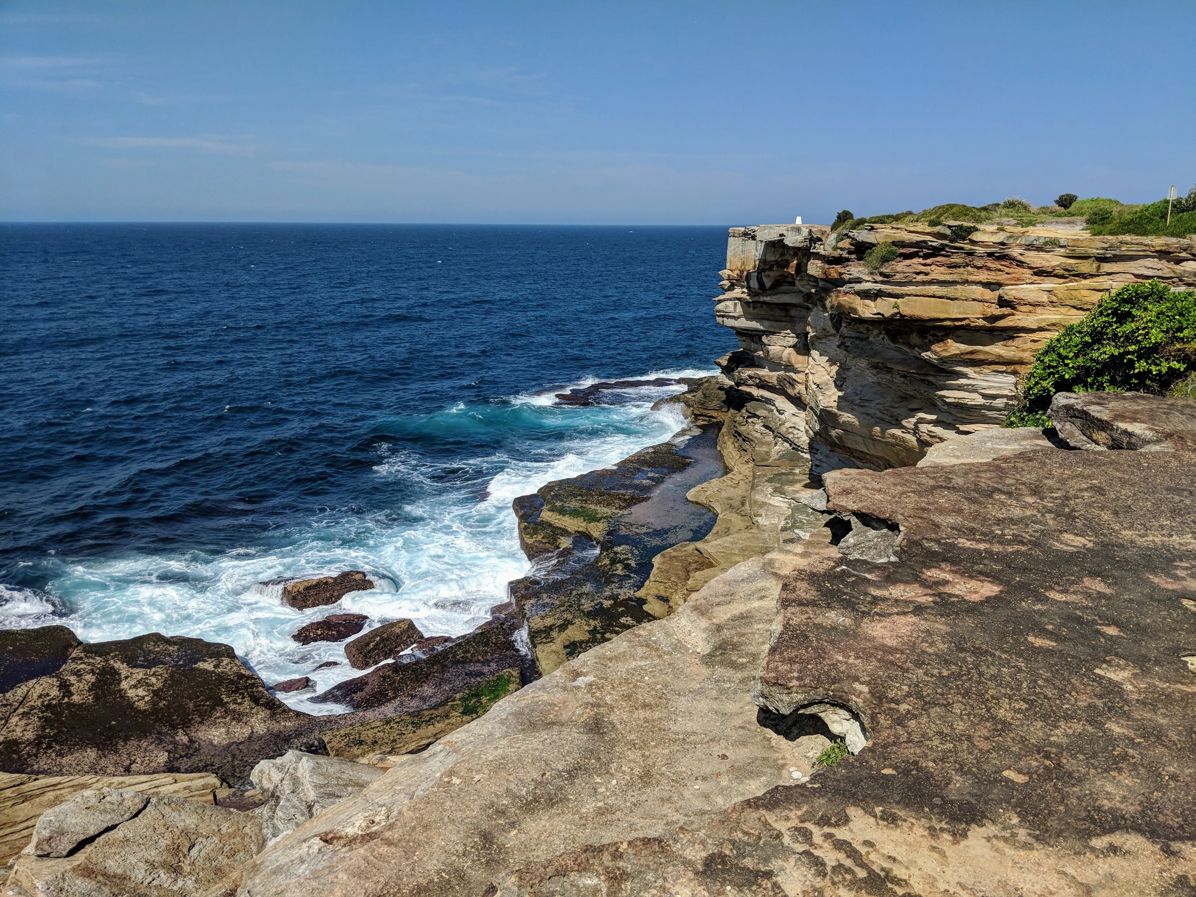 bondi coogee cliff.D9WFo1Ck.jpg