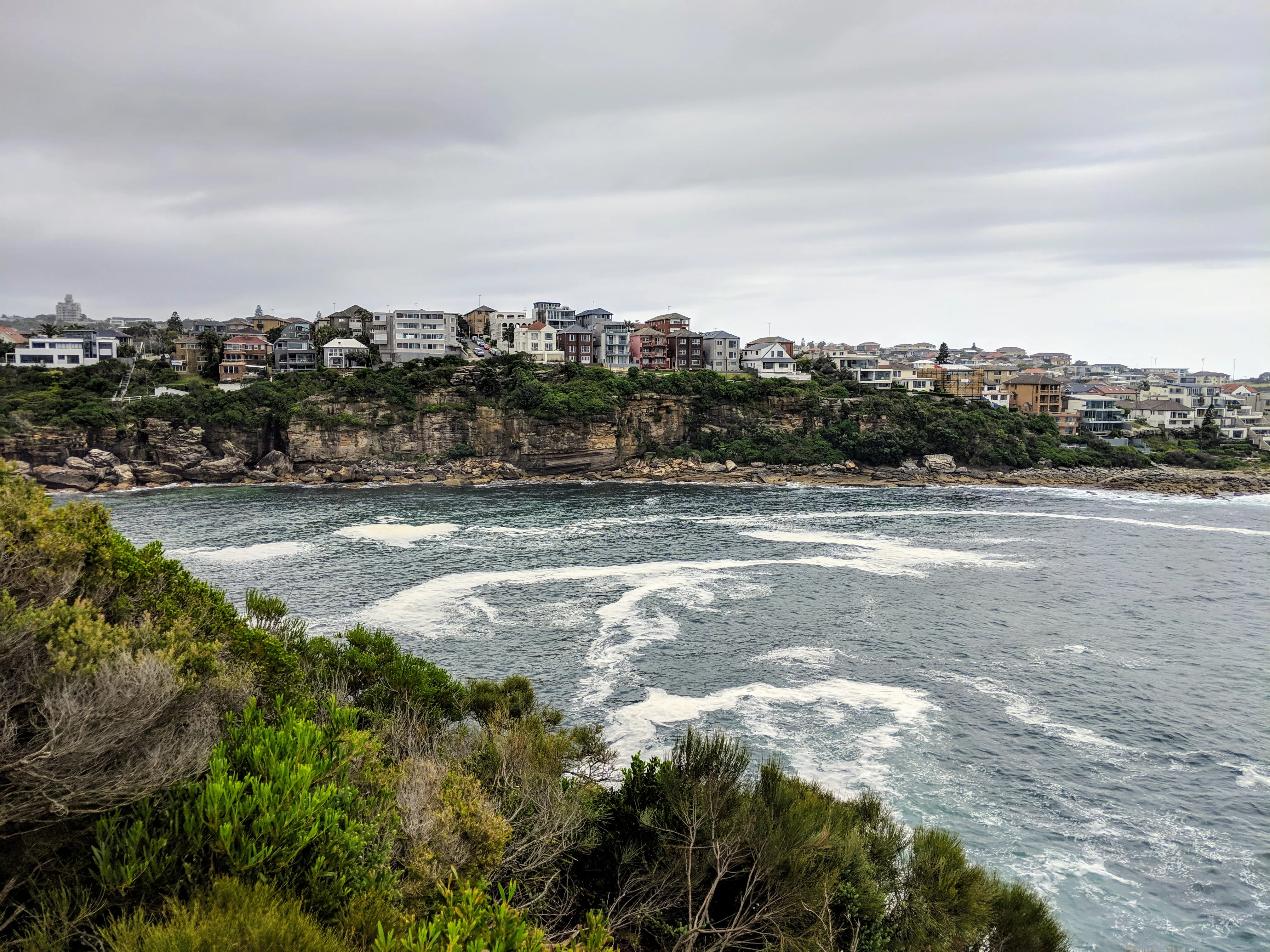 bondi houses cliff.z3xmTi p.jpg