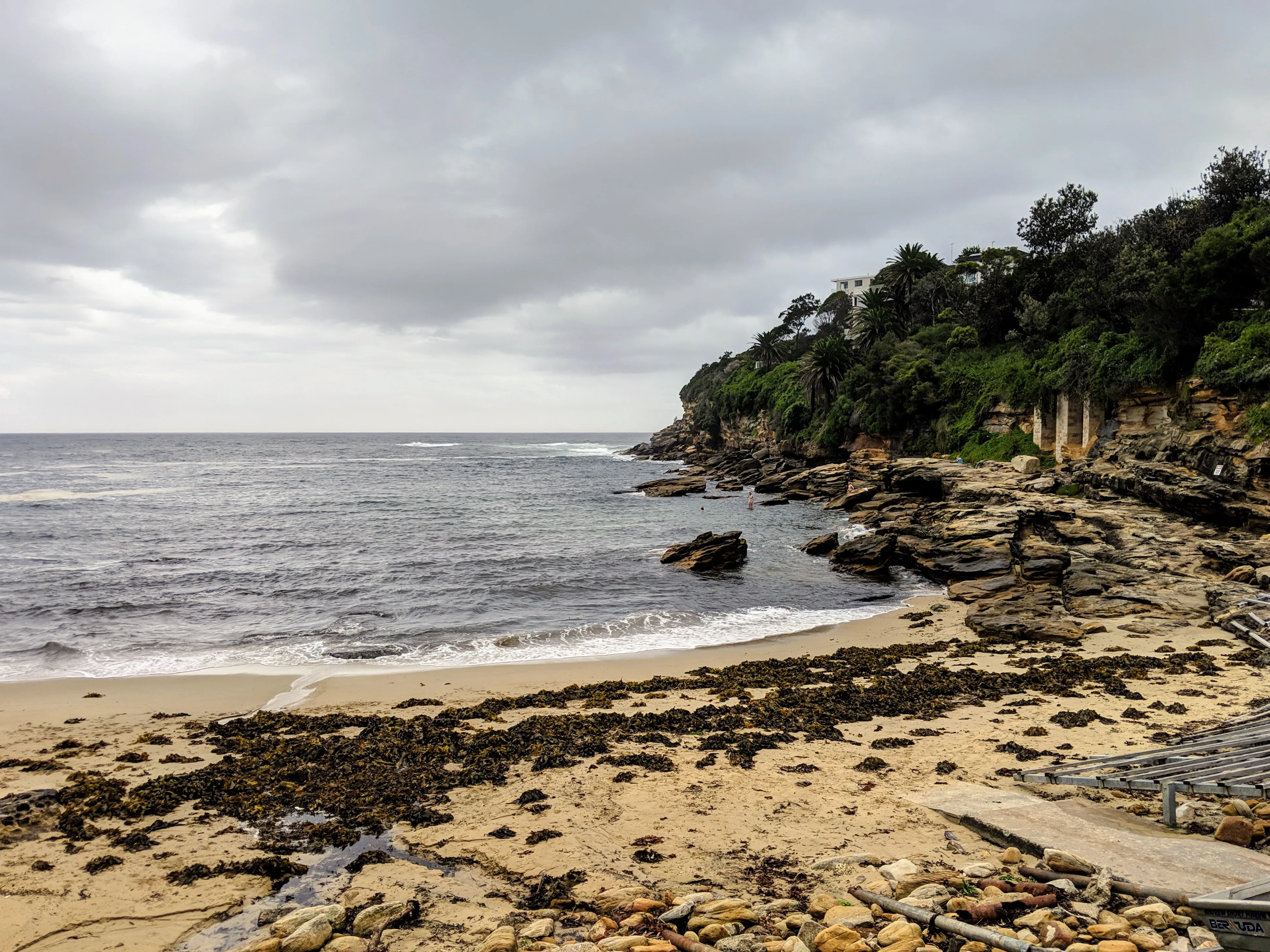 bondi small beach swimmers.LIJgb4Kc.jpg