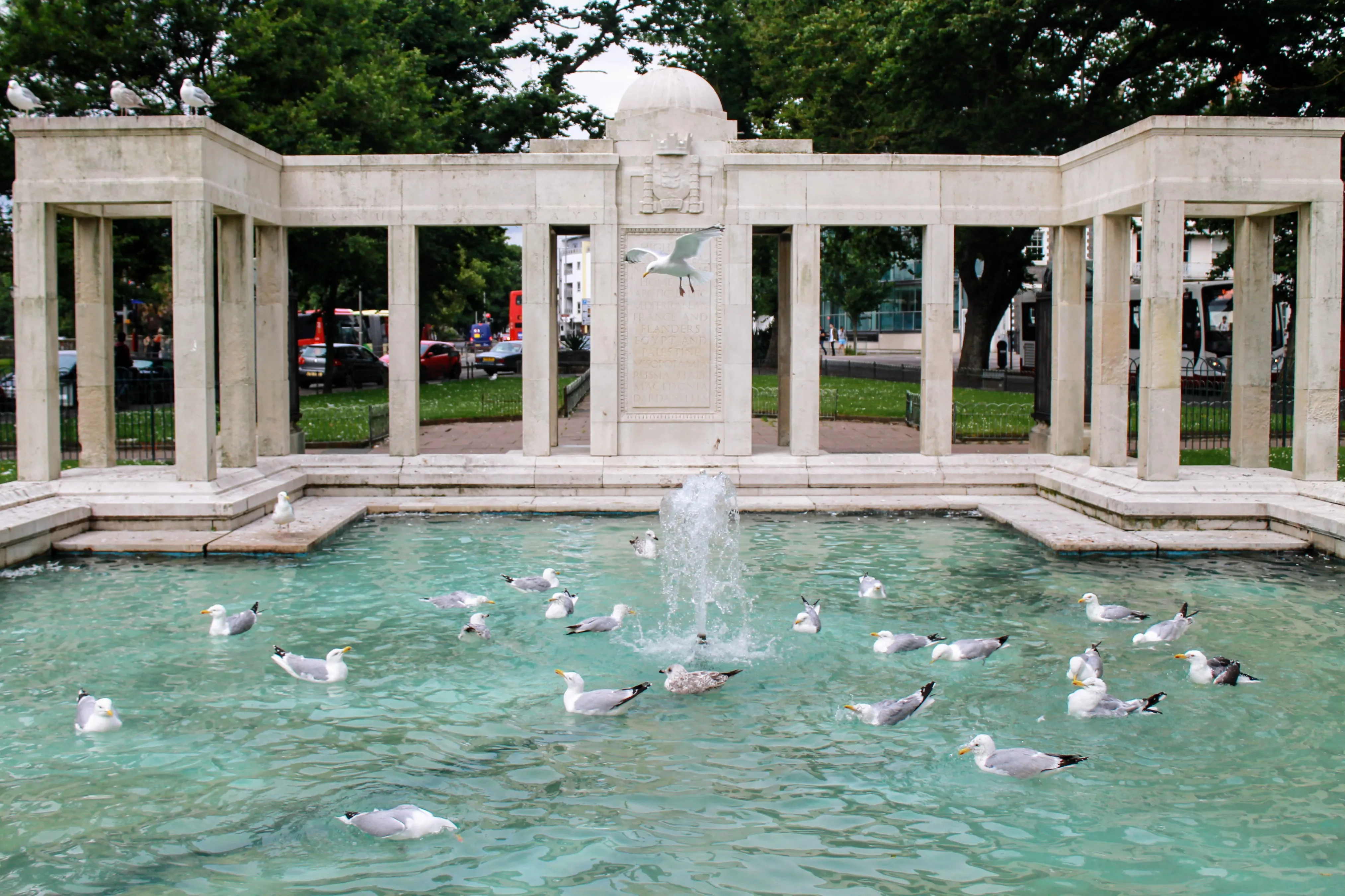 brighton pond.D5HPnQwe.jpg
