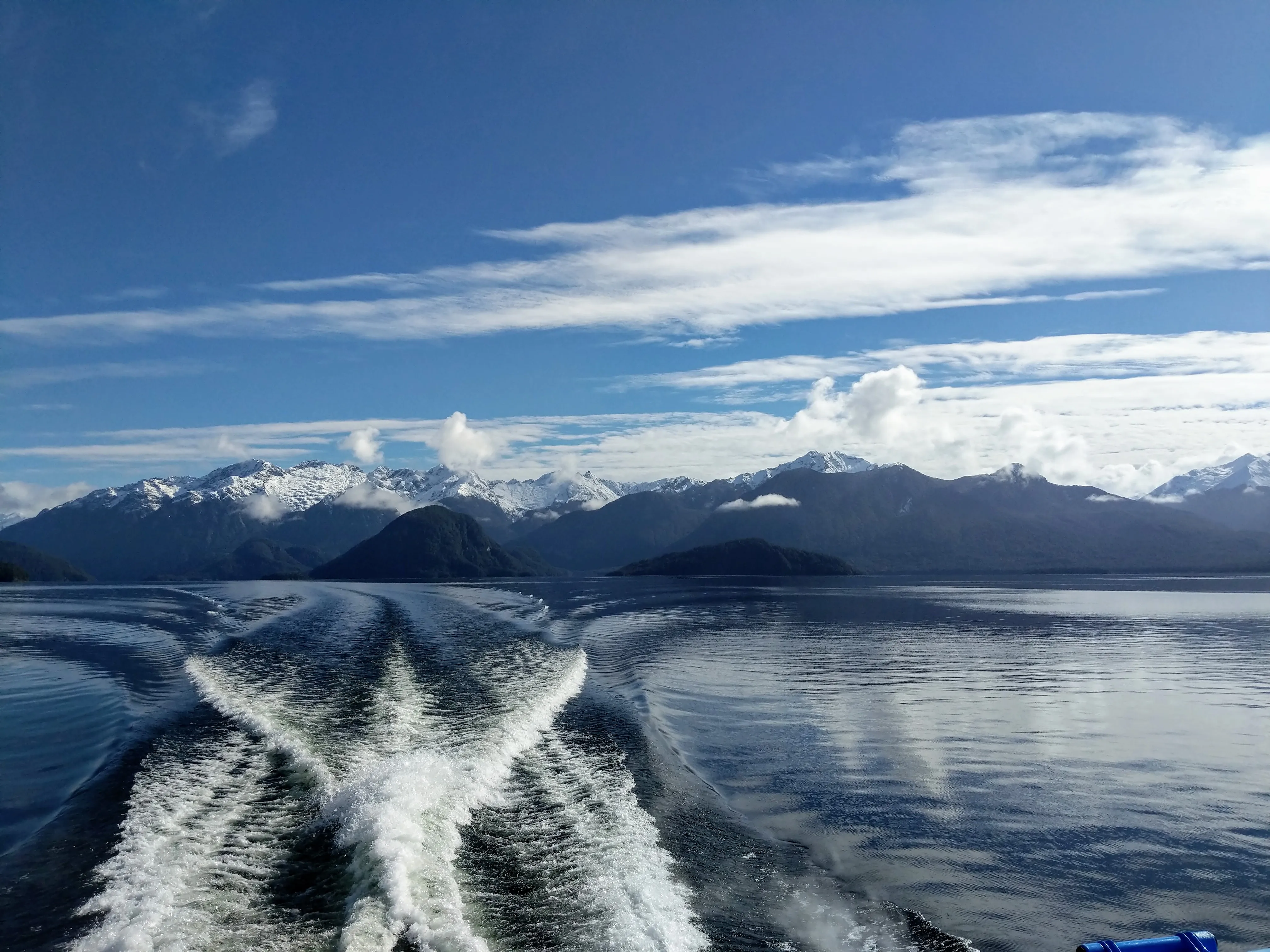 cruise goodbye.B_ie4Fkx.jpg
