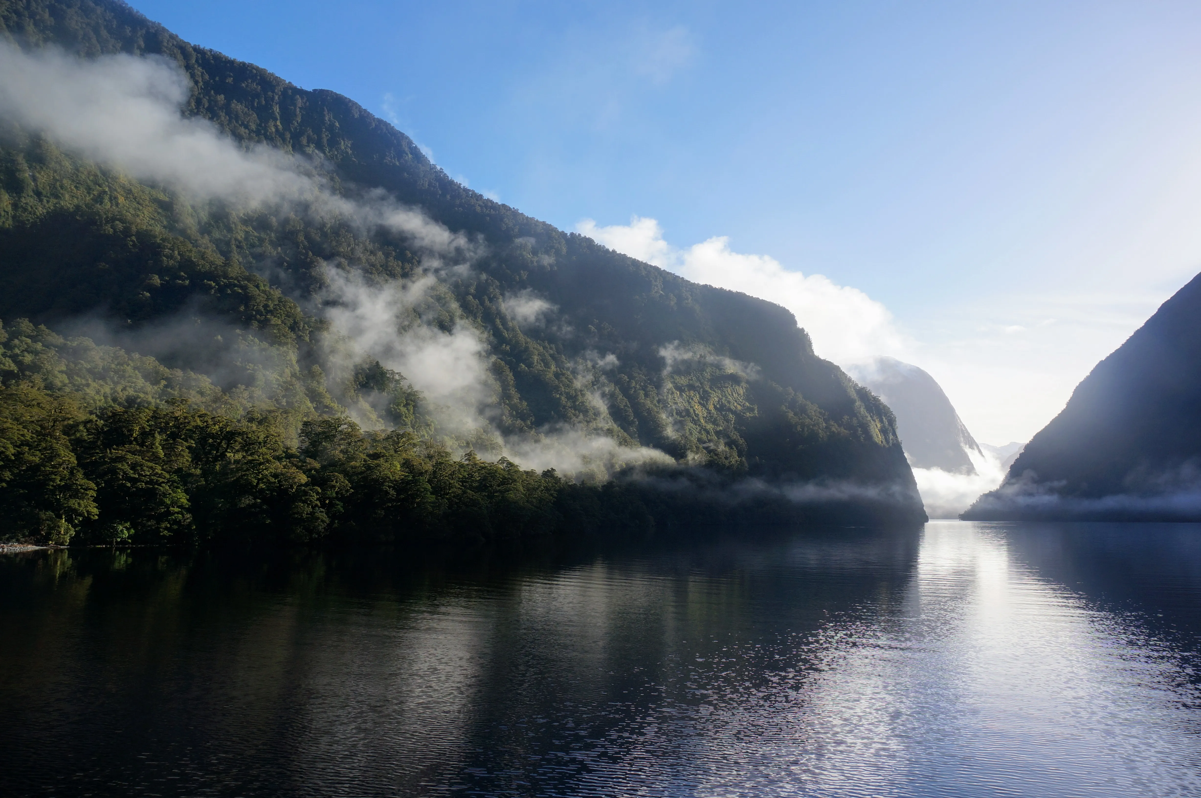 cruise morning.DqvdPNlw.jpg