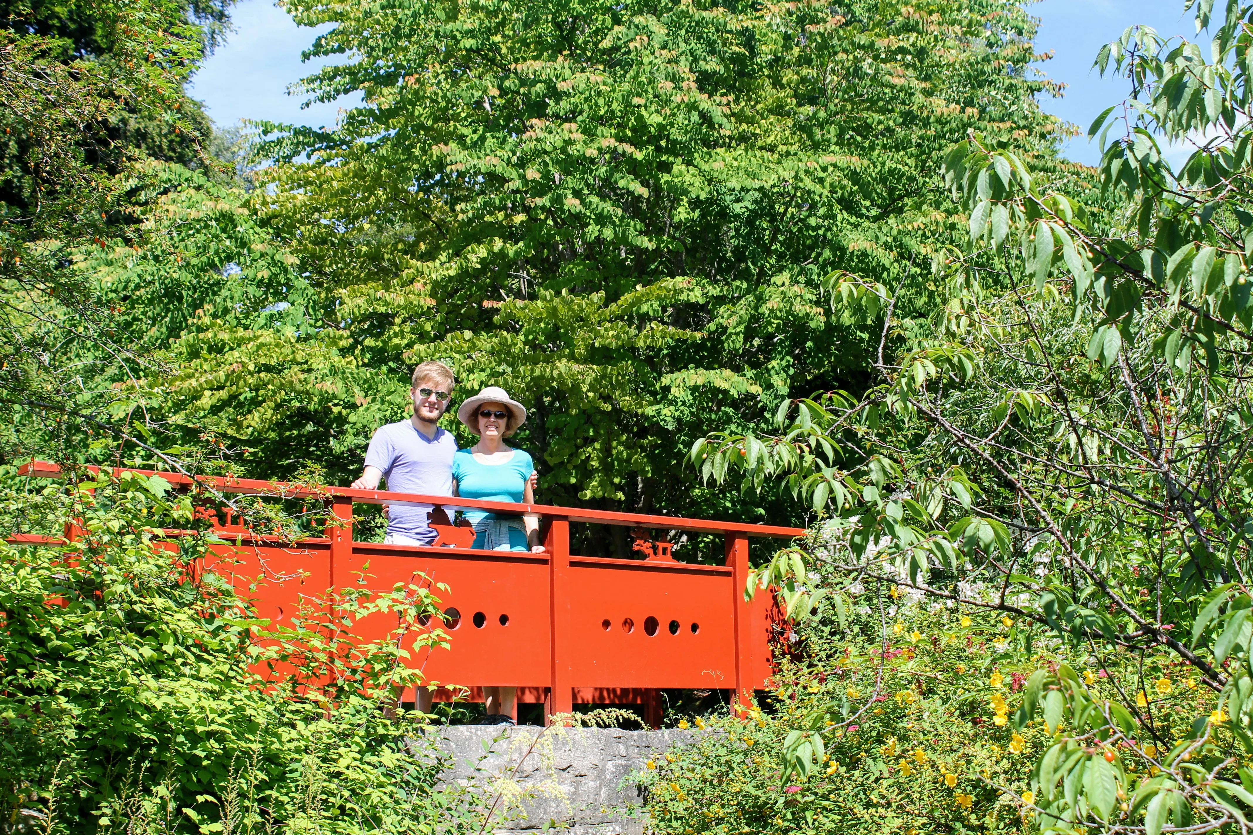 edinburgh gardens bridge.BQNXKfqk.jpg