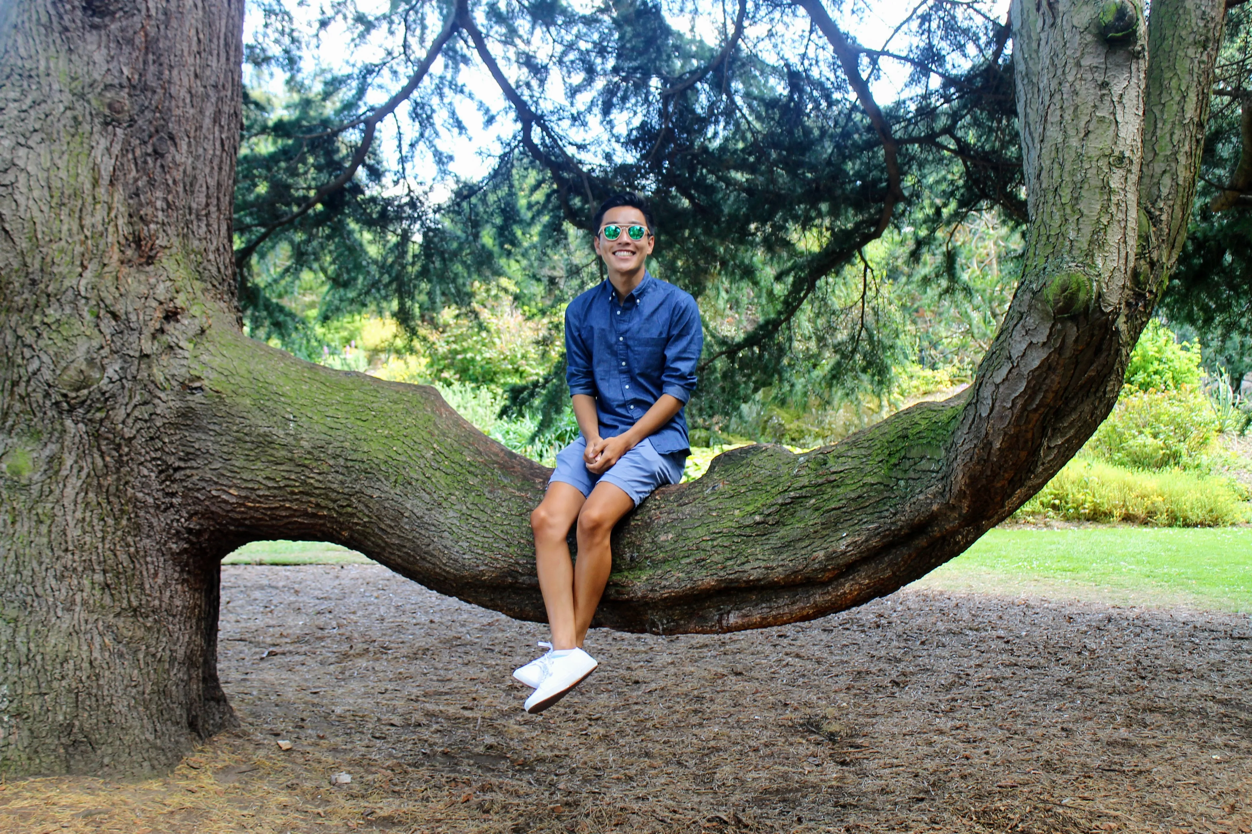 edinburgh gardens tree.DkWMiQ0N.jpg
