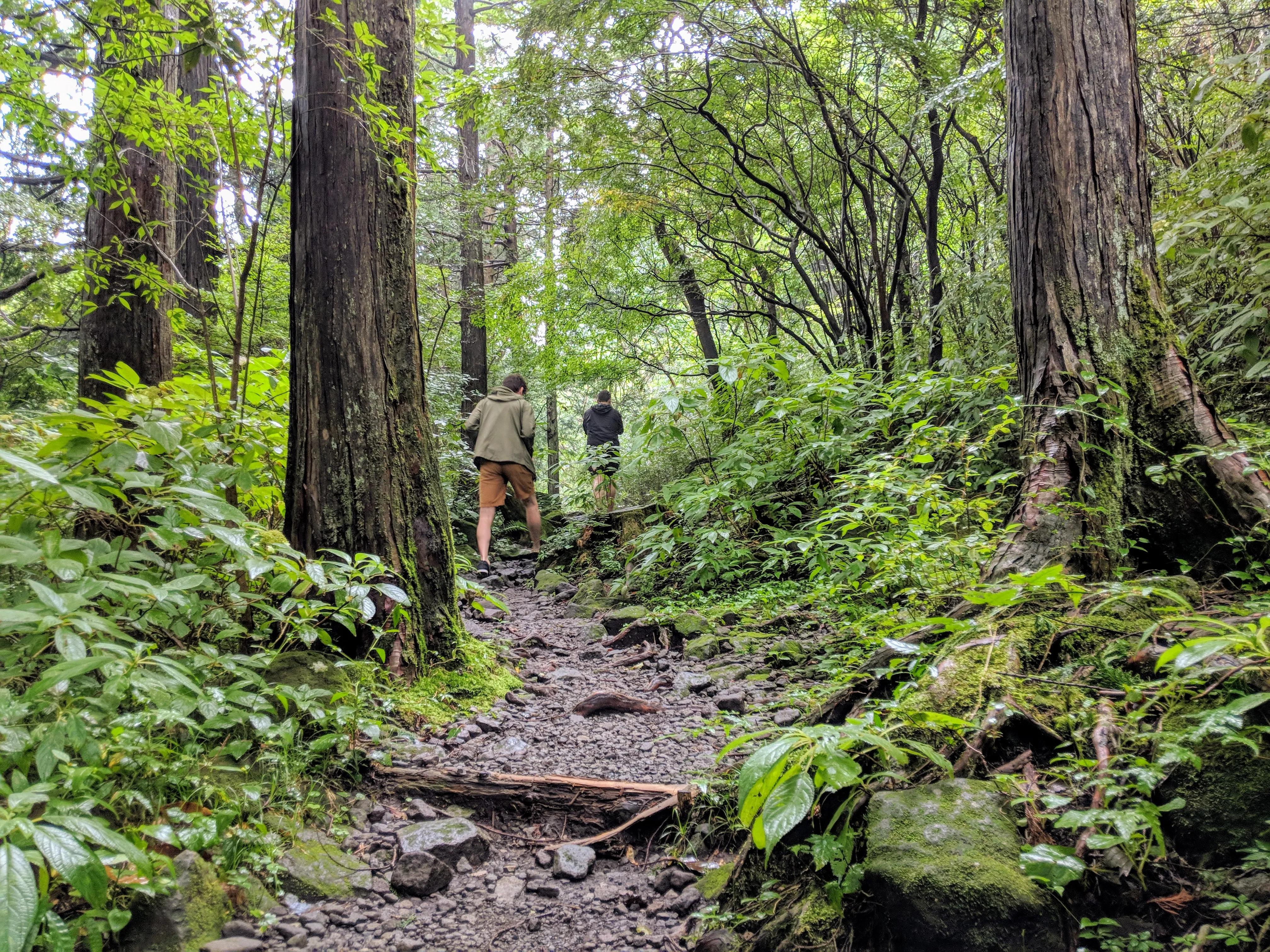 hakone hike.EQF34e6s.jpg