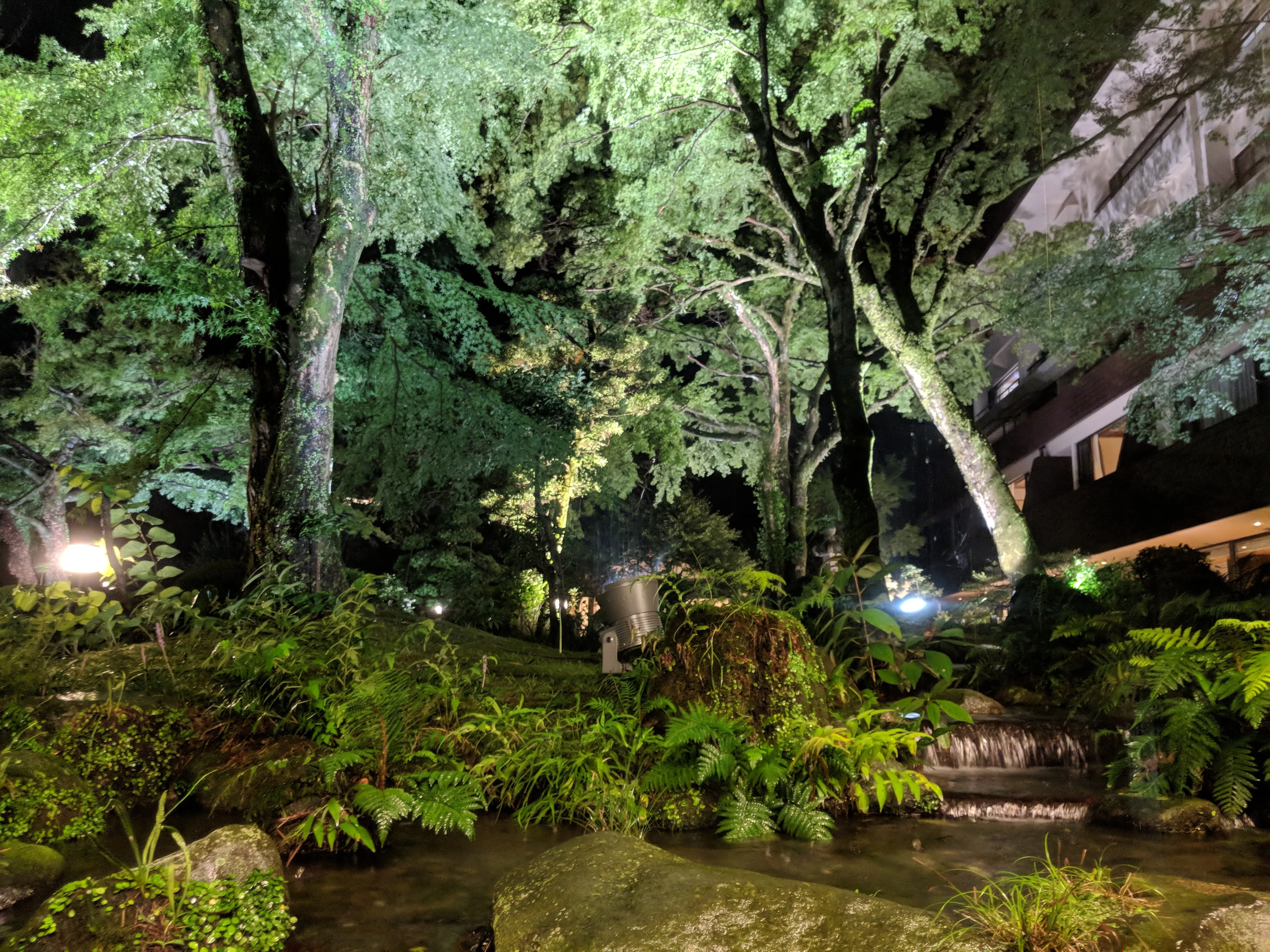 hakone ryokan garden night.B9dp3fgS.jpg