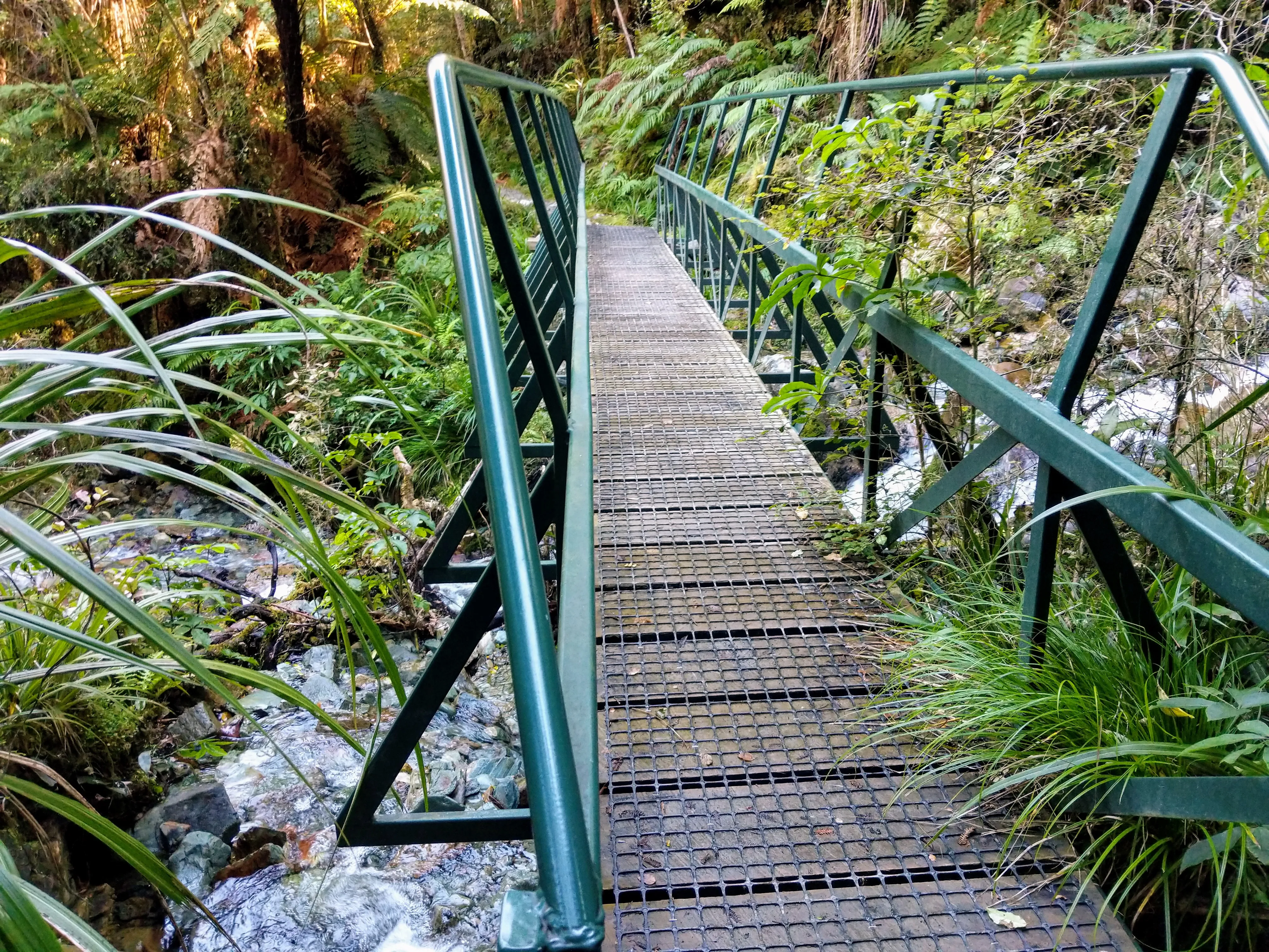 hollyford green bridge.BTWUwFbT.jpg