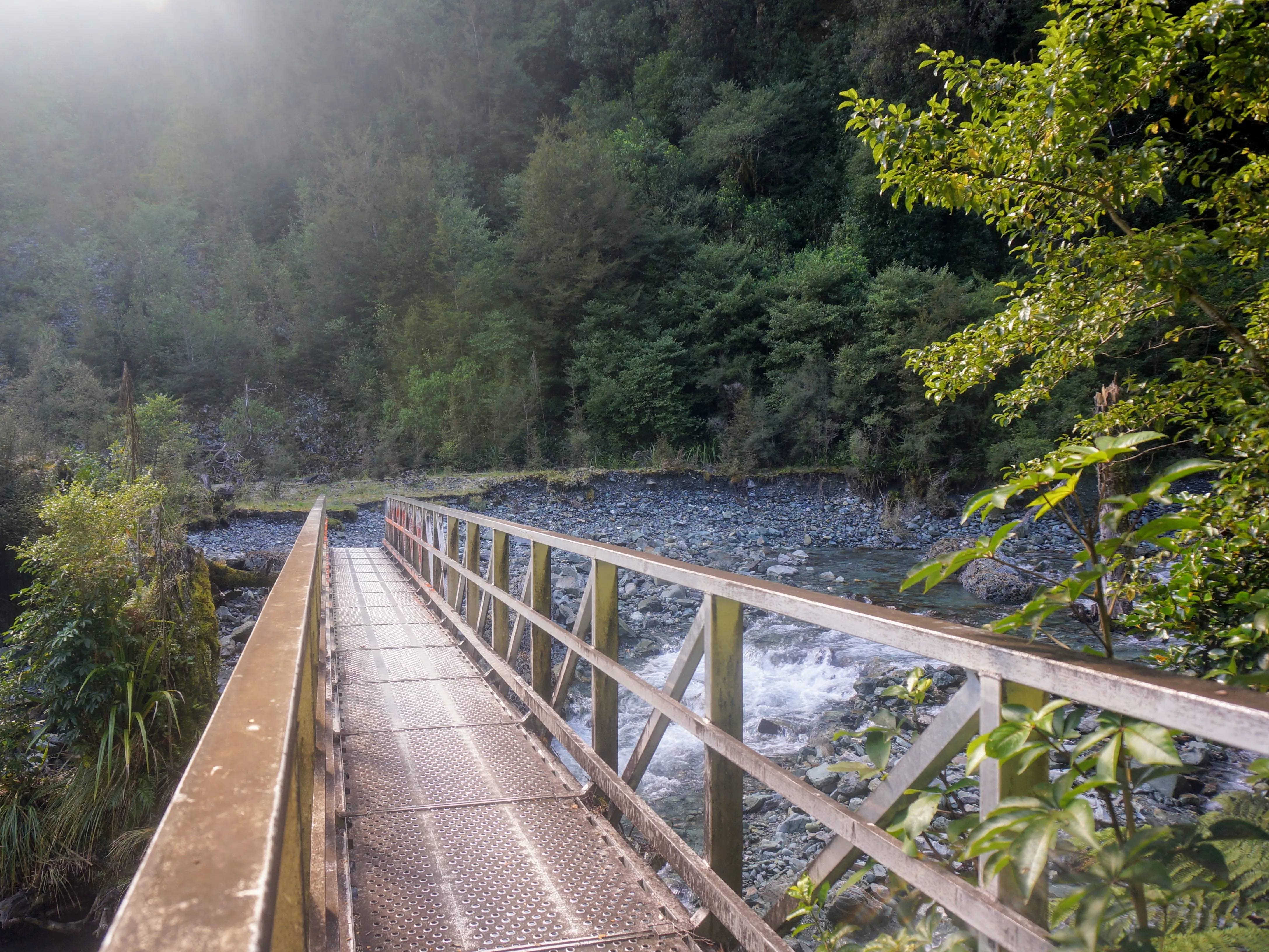 hollyford metal bridge.CMseE0Bi.jpg