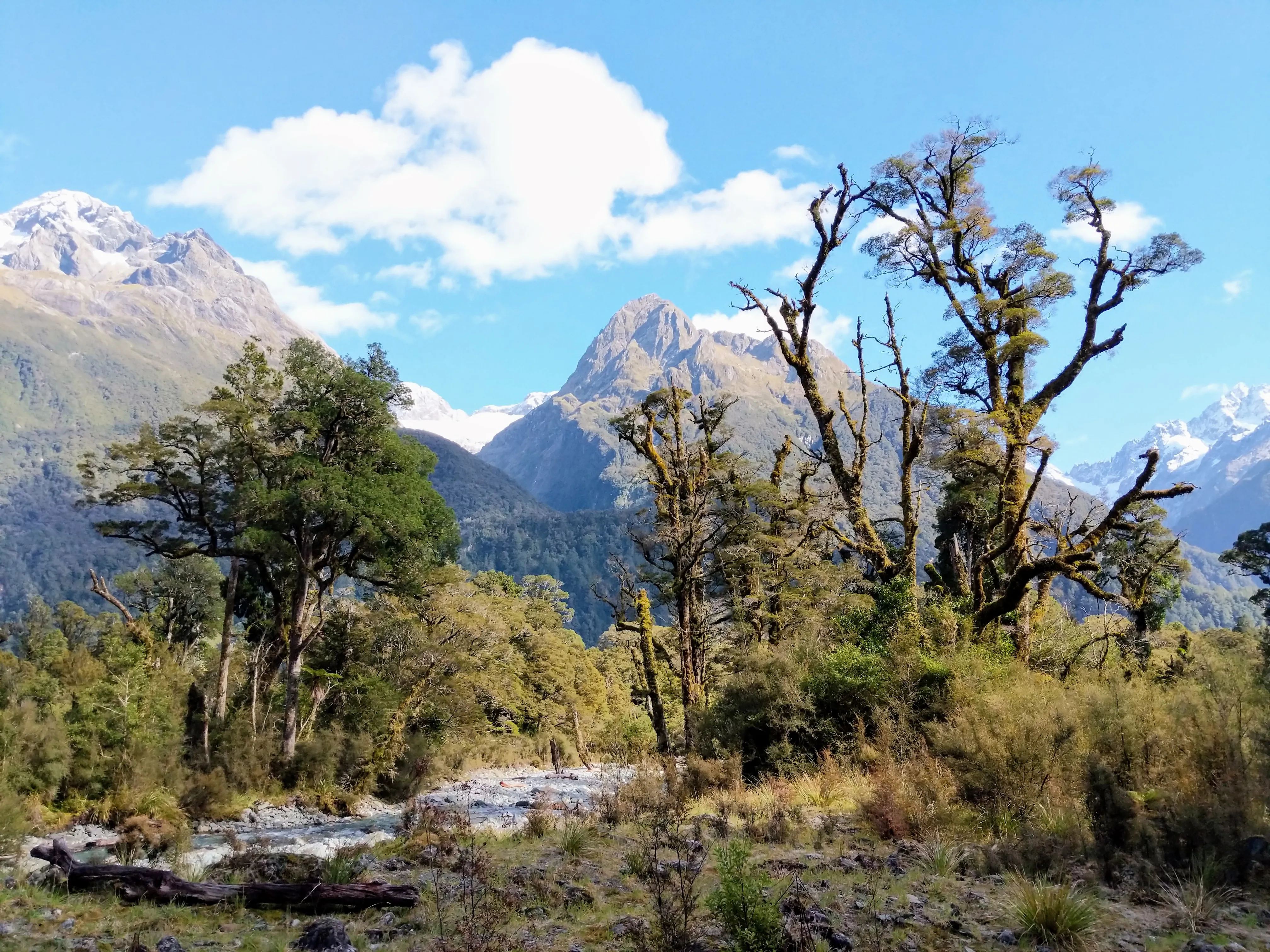 hollyford mountains.D P4kWFU.jpg