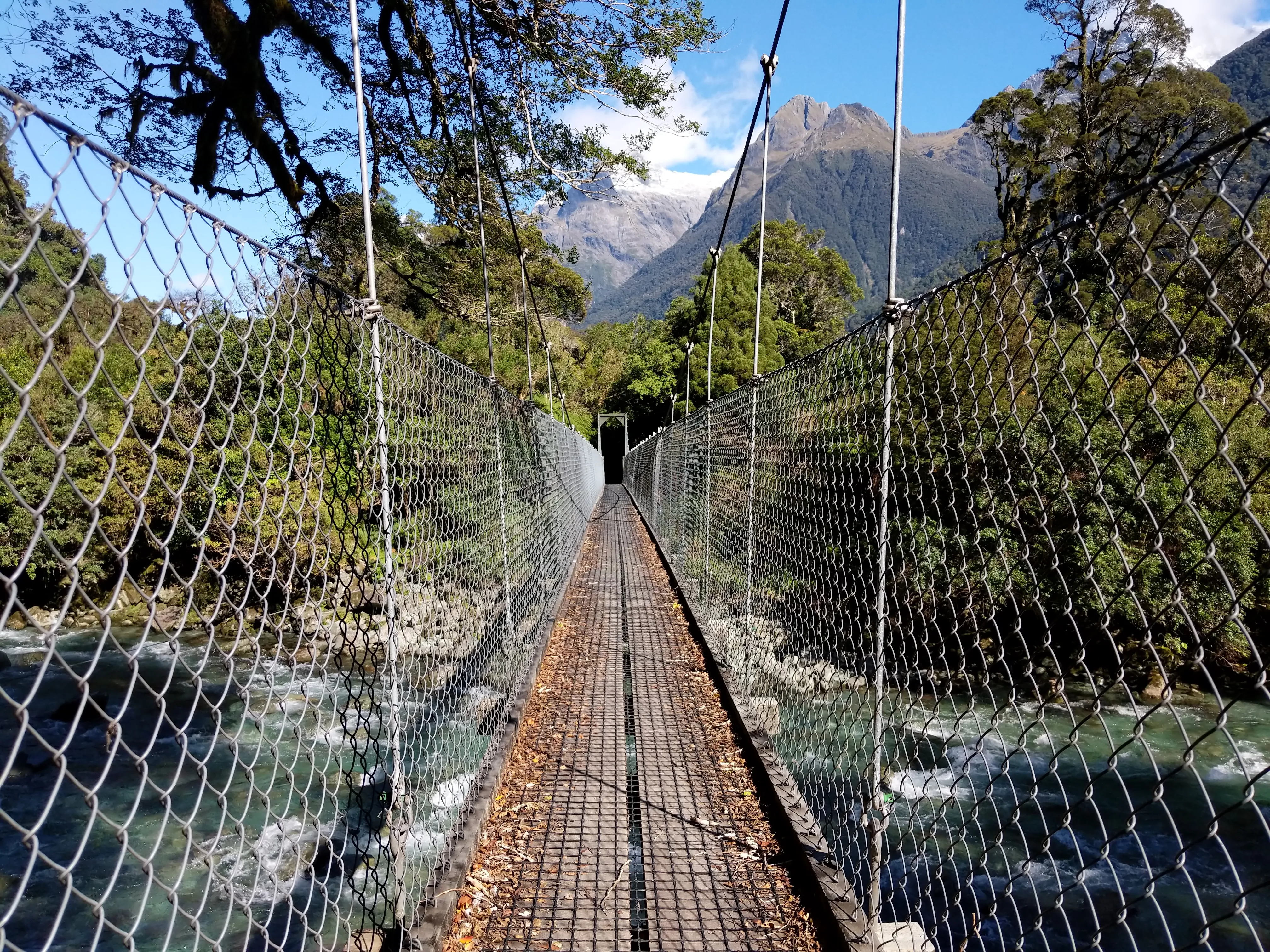 hollyford swing bridge straight.CFlSktyU.jpg