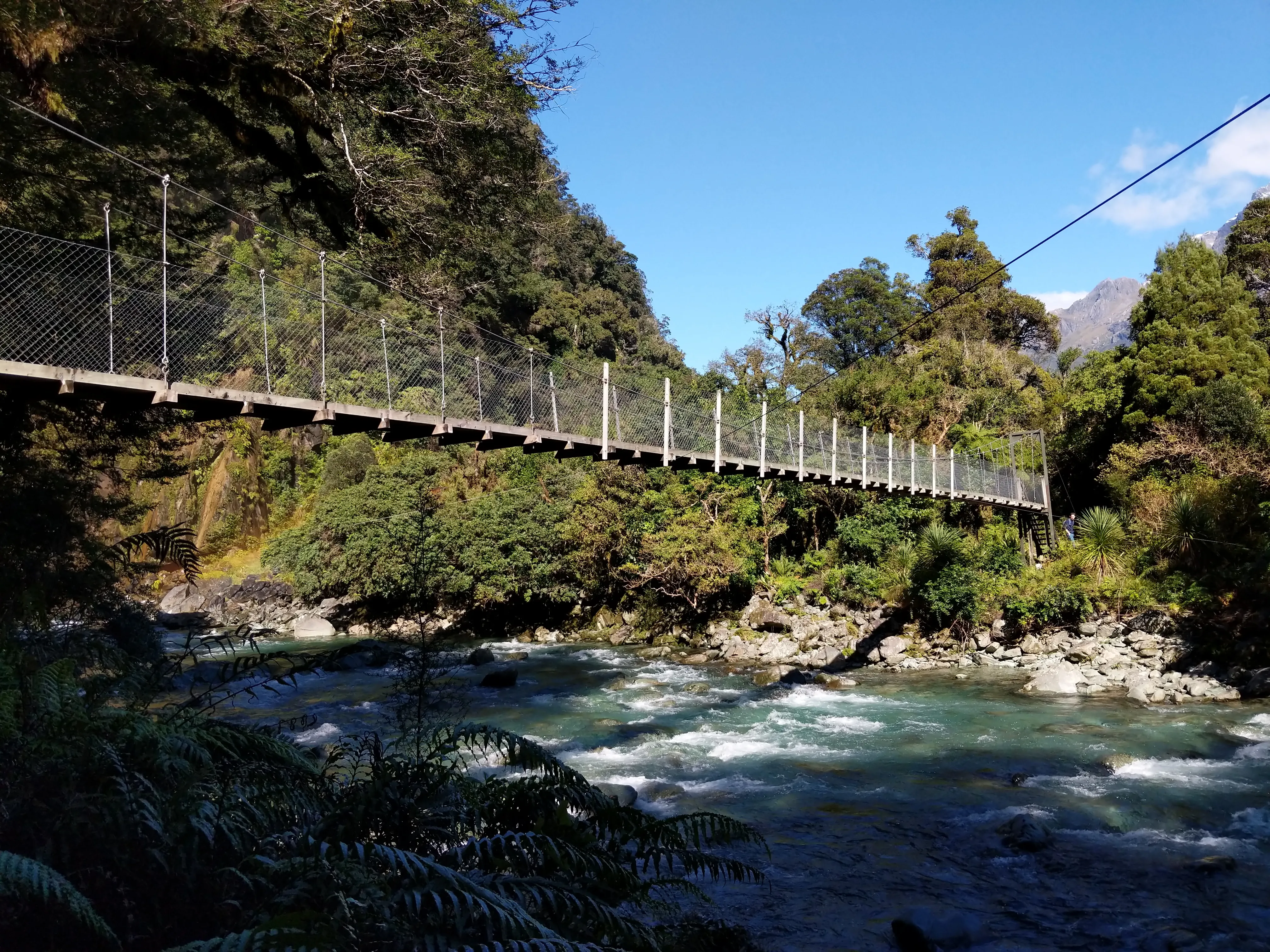 hollyford swing bridge.CUwxB  9.jpg