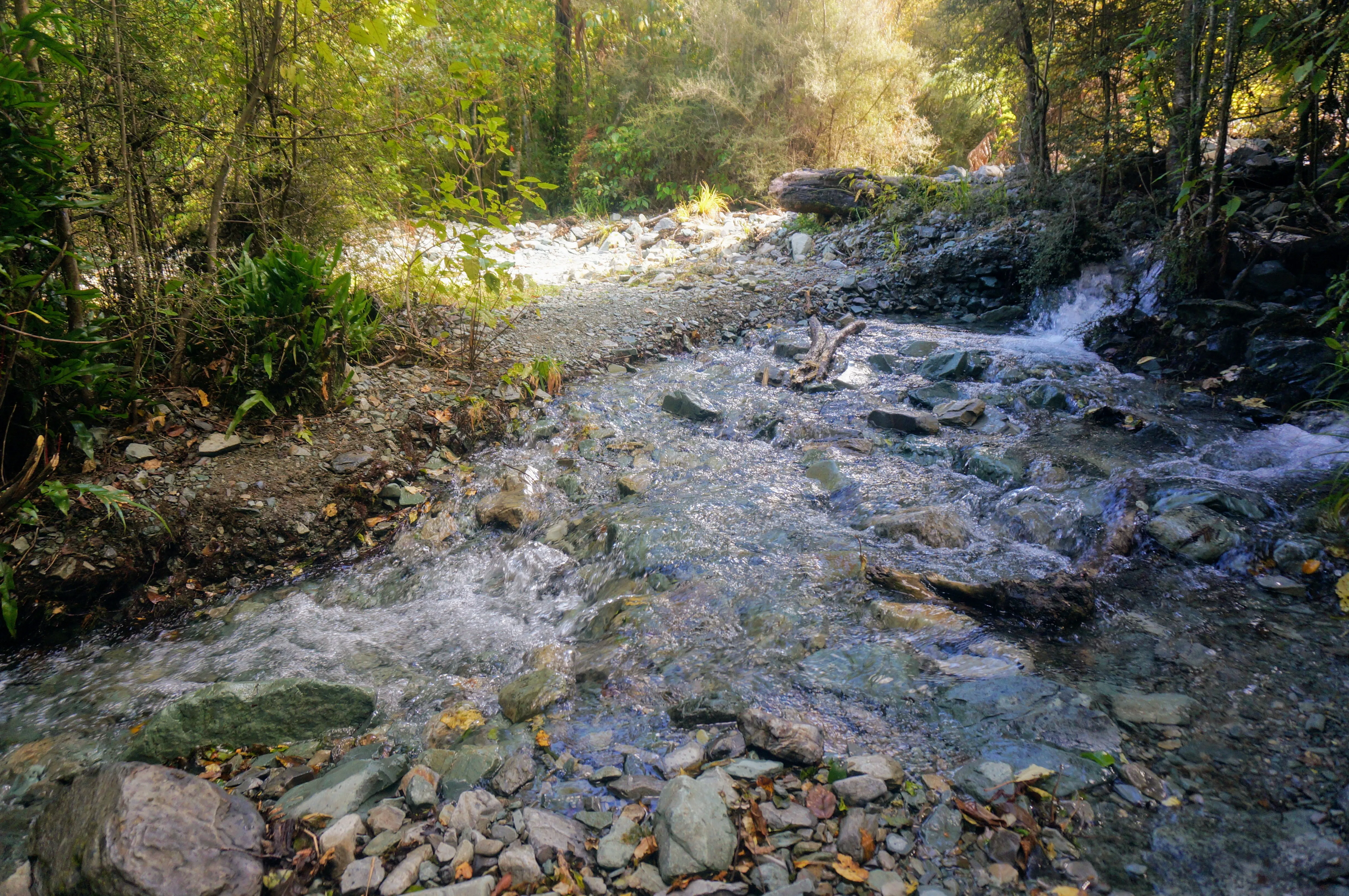 hollyford washed out.BZTrAfOC.jpg