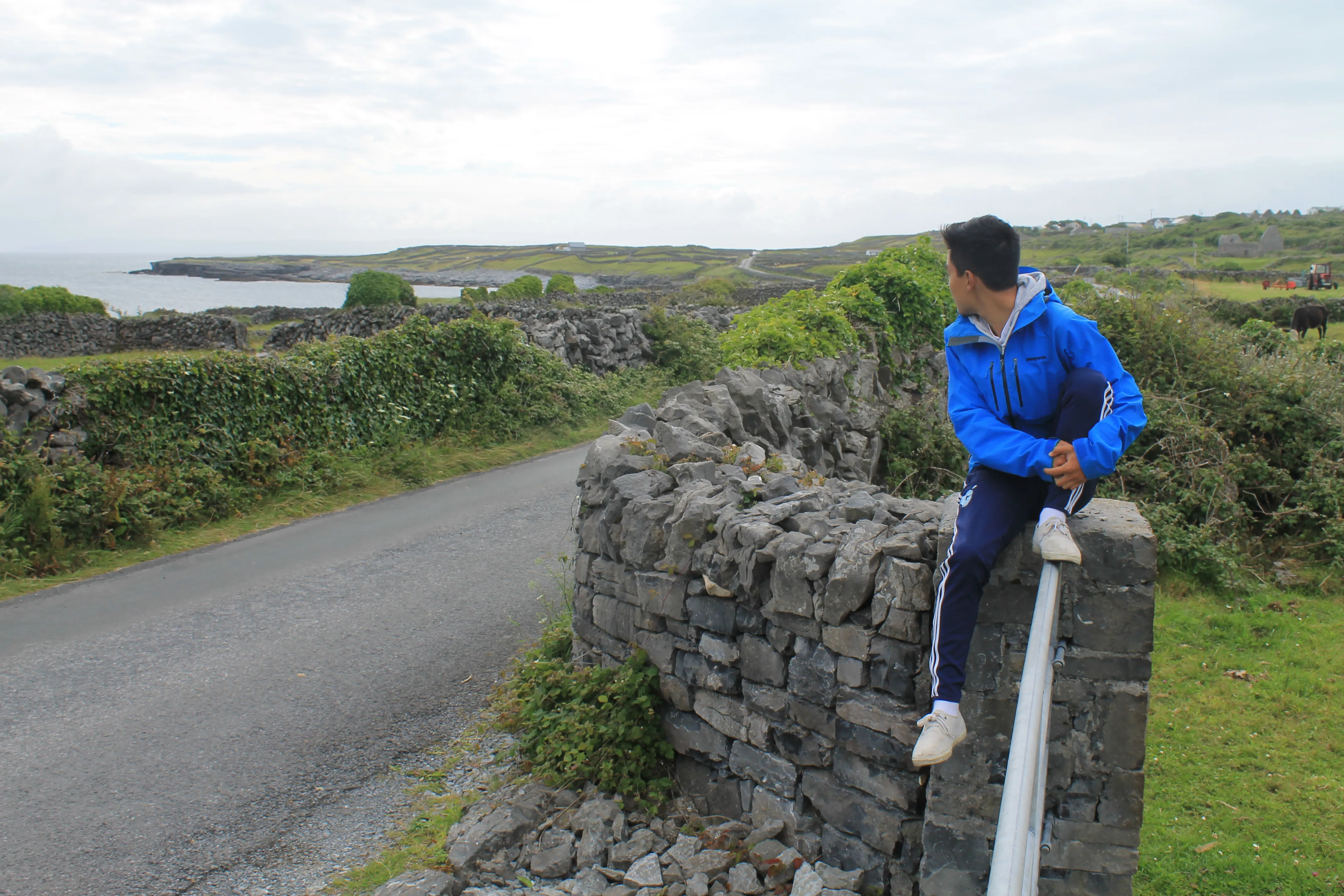 inishmore gate.CnrBObVC.jpg
