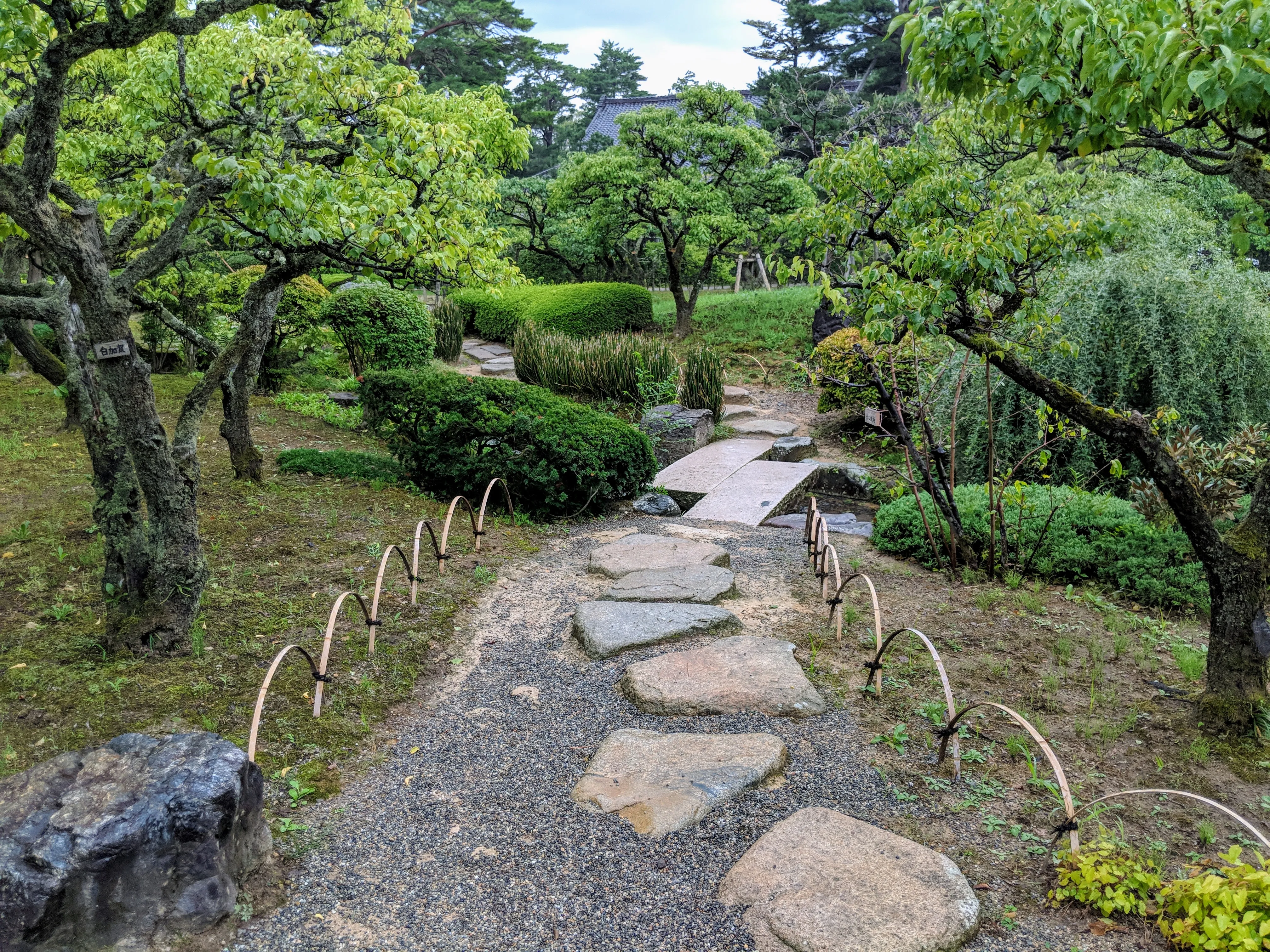 kanazawa garden stone path.DnUYi3LG.jpg