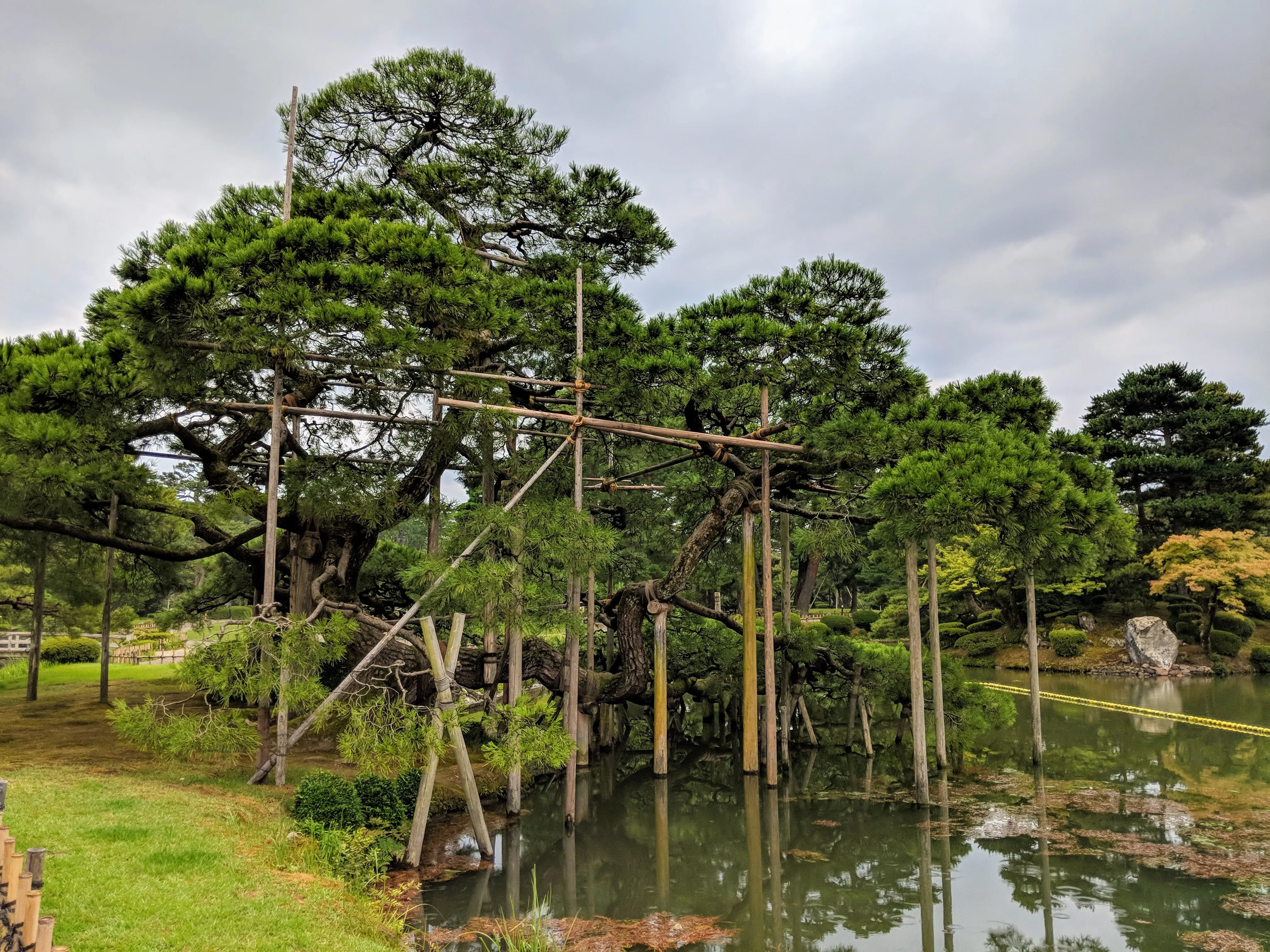 kanazawa garden tree supports.D744nDKI.jpg