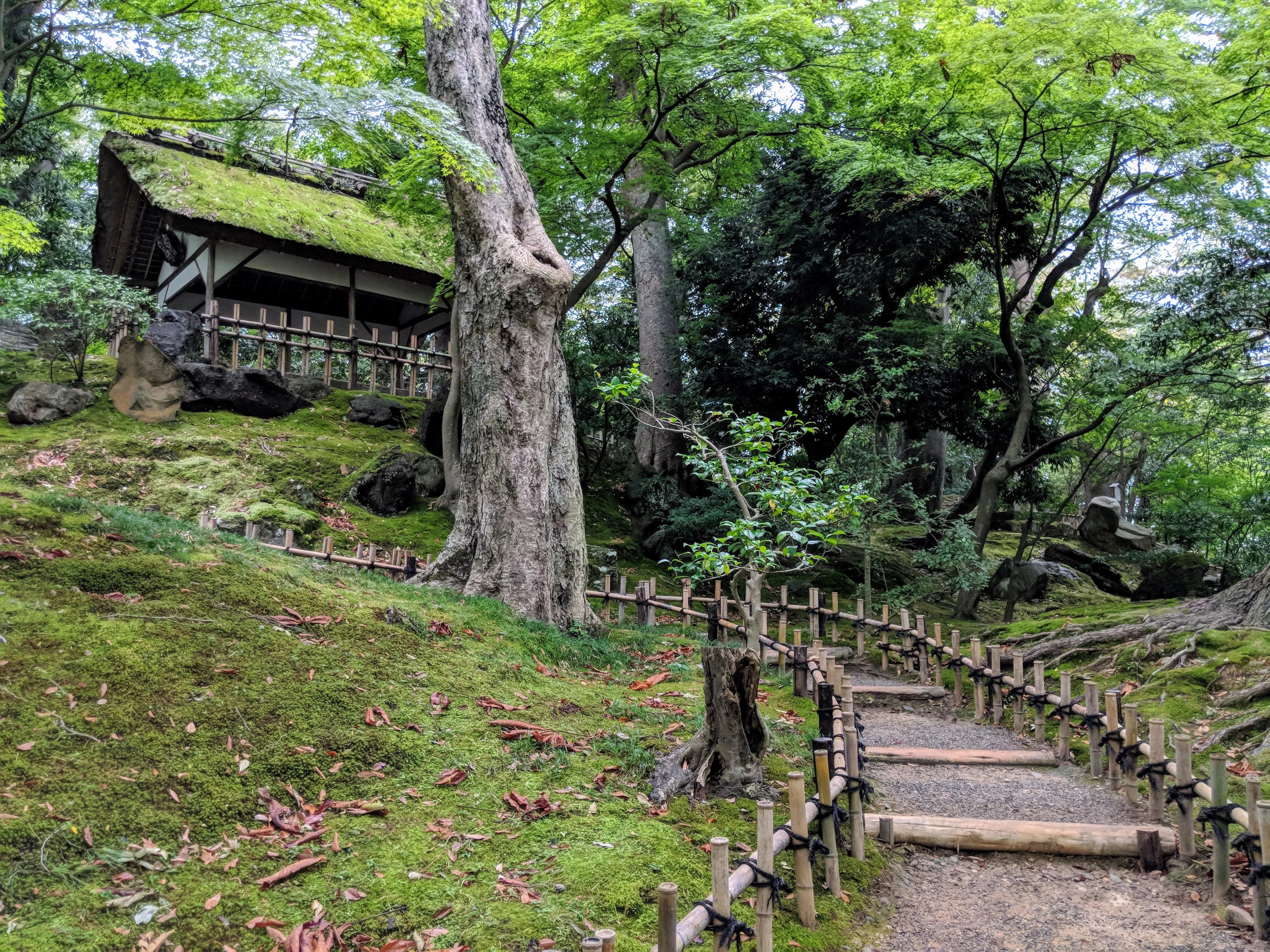 kanzawa garden walkway.CWDcfIab.jpg