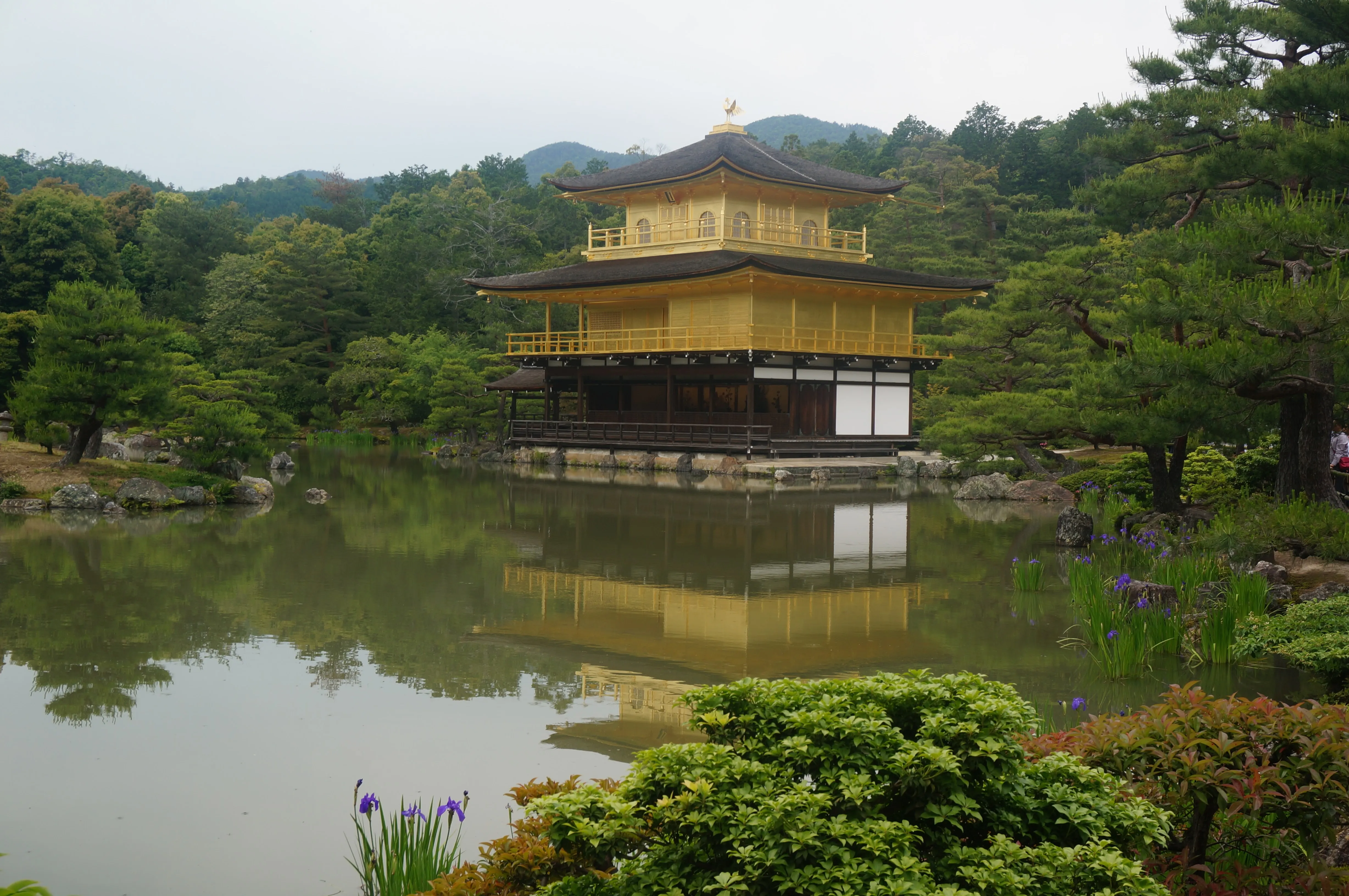 kyoto gold.B1jP1GmF.jpg