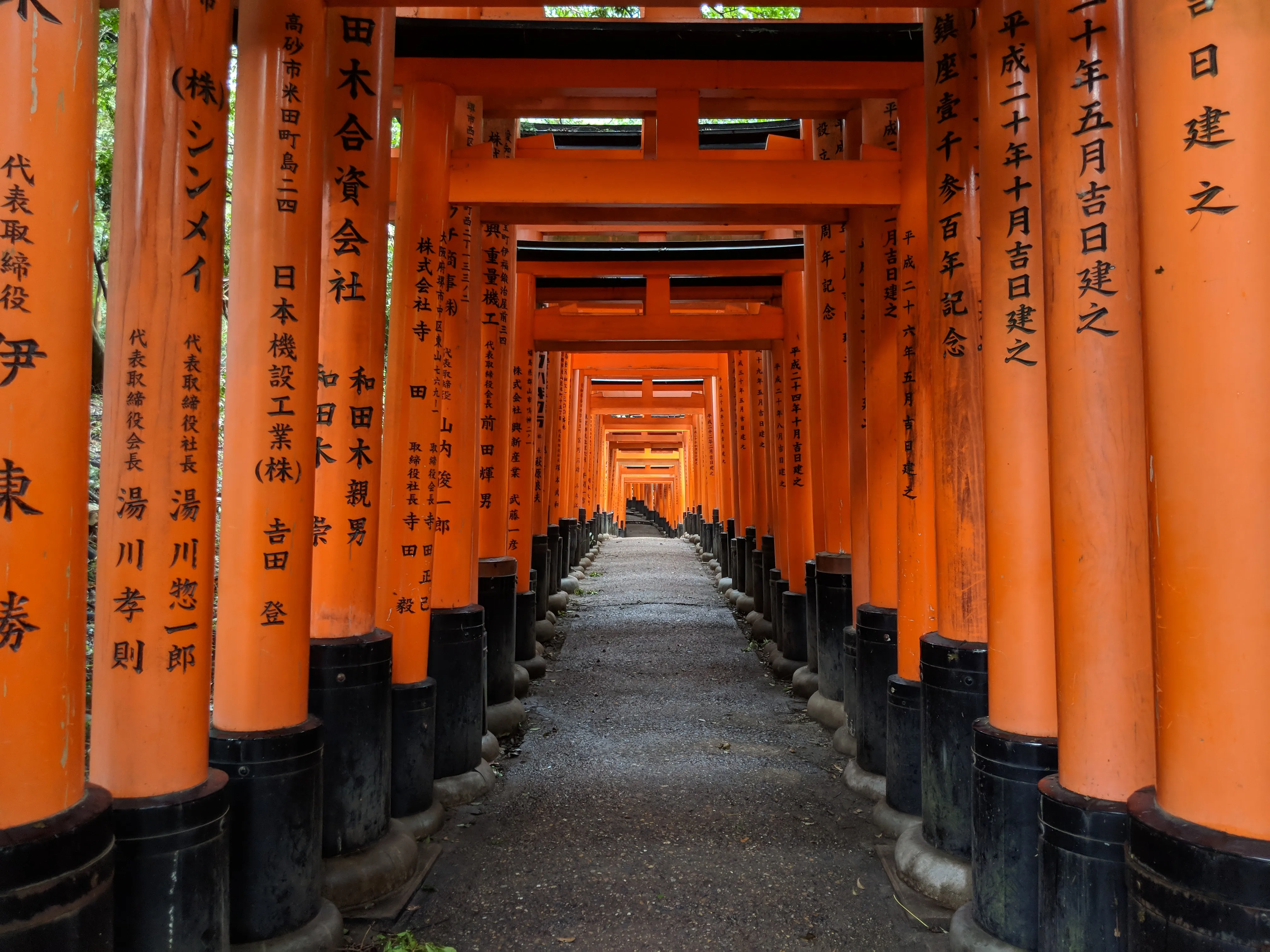 kyoto inari gates straight ahead.DV3Kia3D.jpg