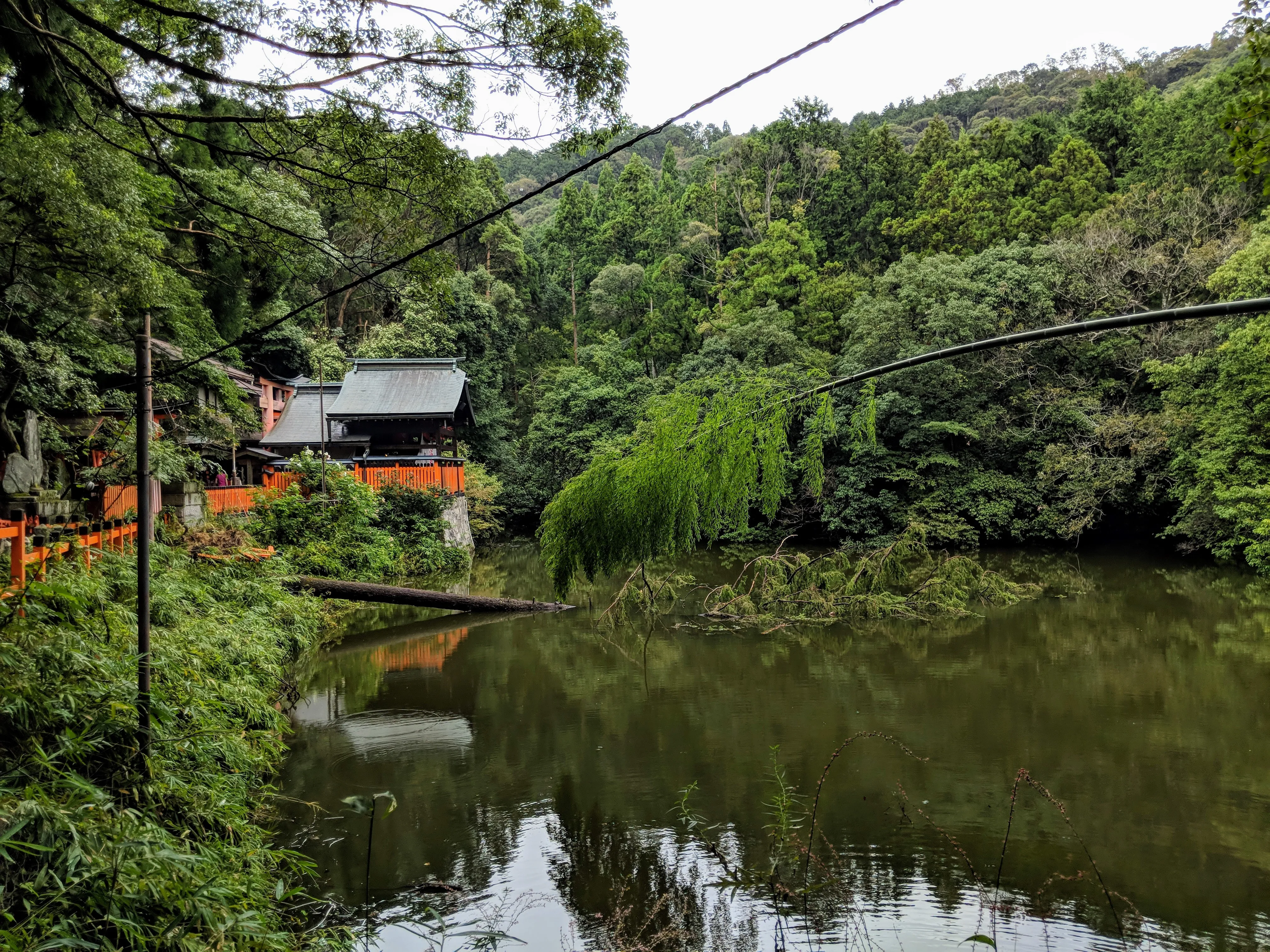 kyoto inari lake.DzMYaUAF.jpg