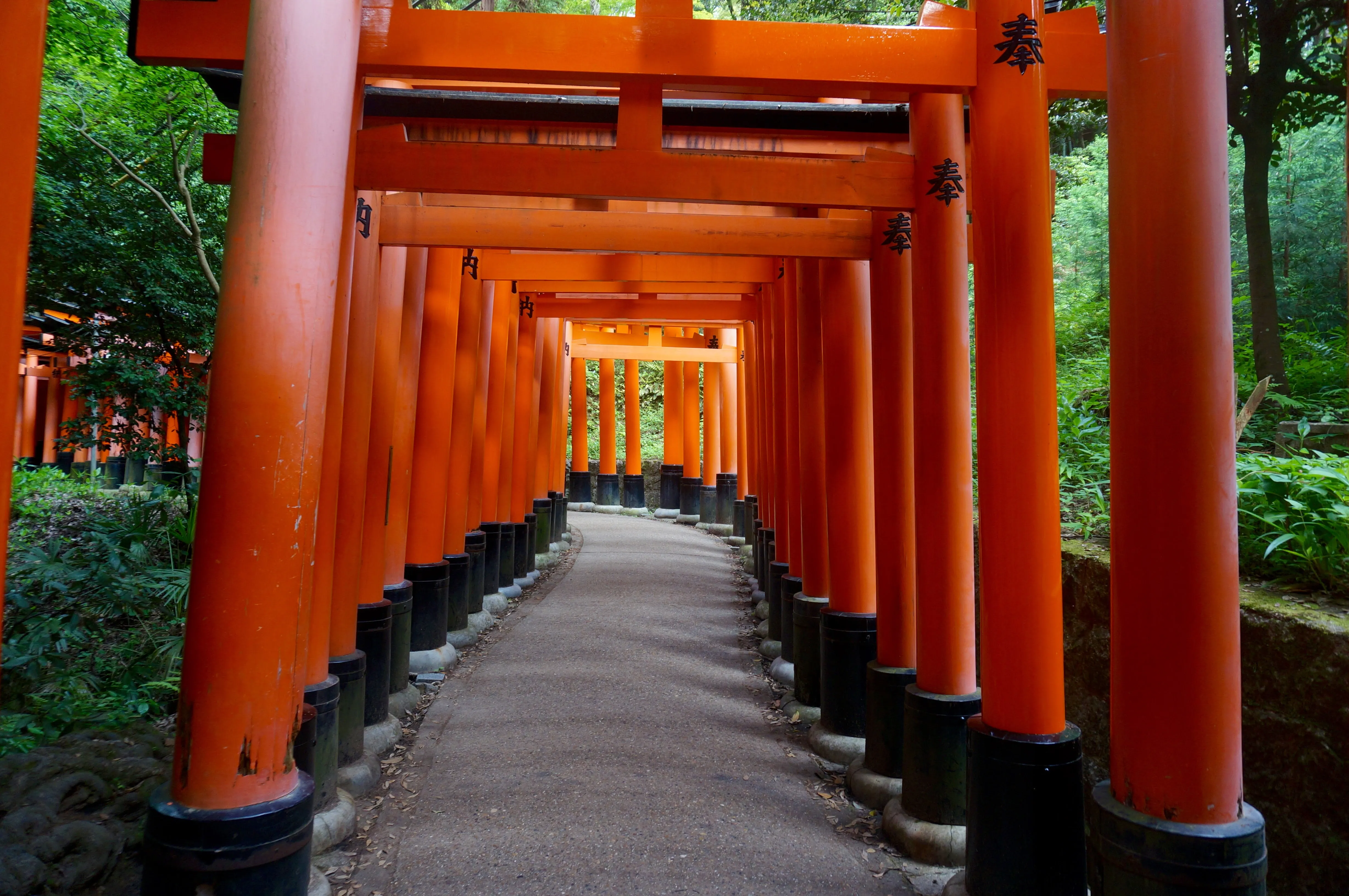 kyoto path.Cdl  Wkm.jpg