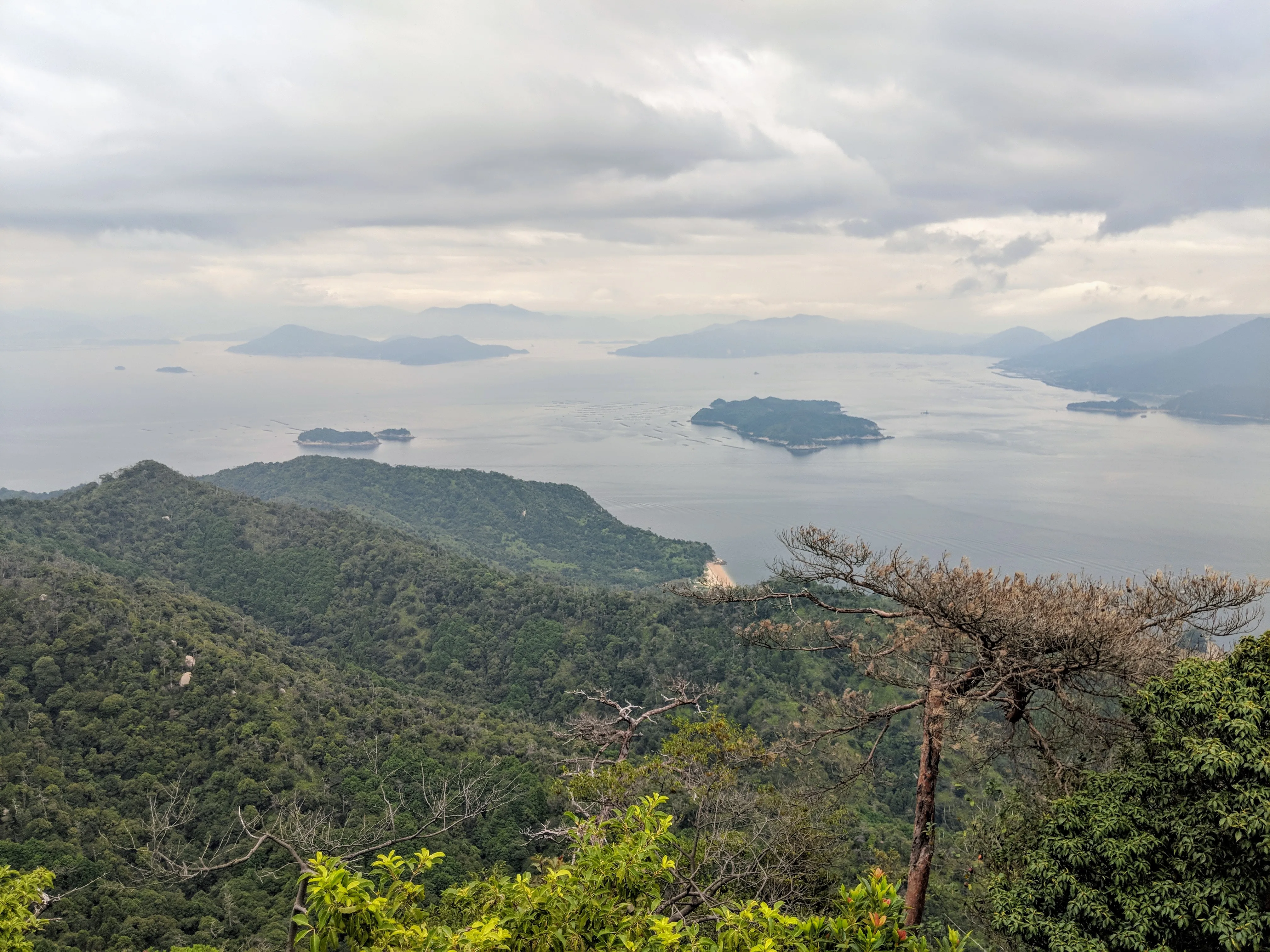 miyajima view 2.DFySf25U.jpg