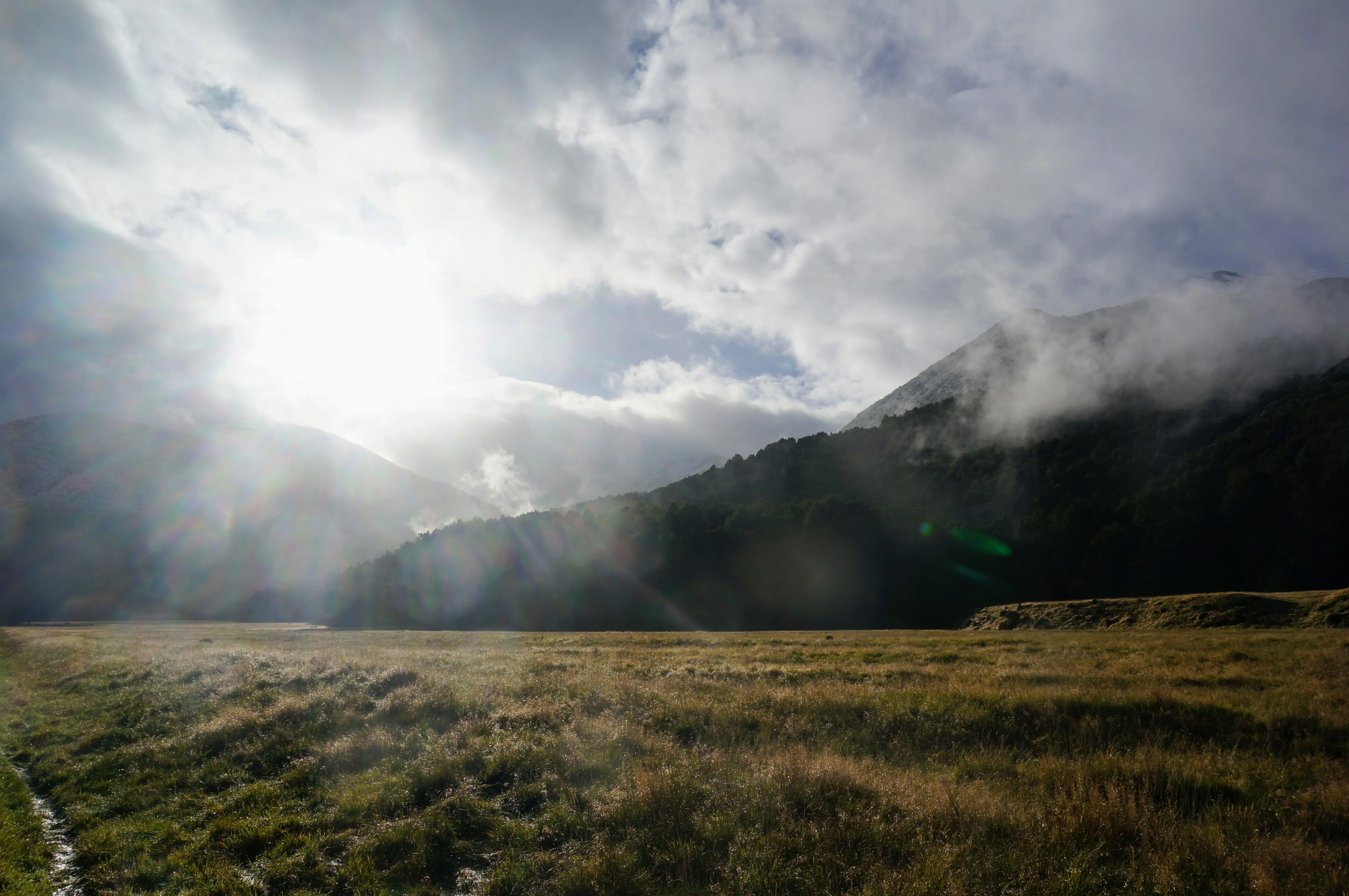 morning dew.BaPDt 6q.jpg