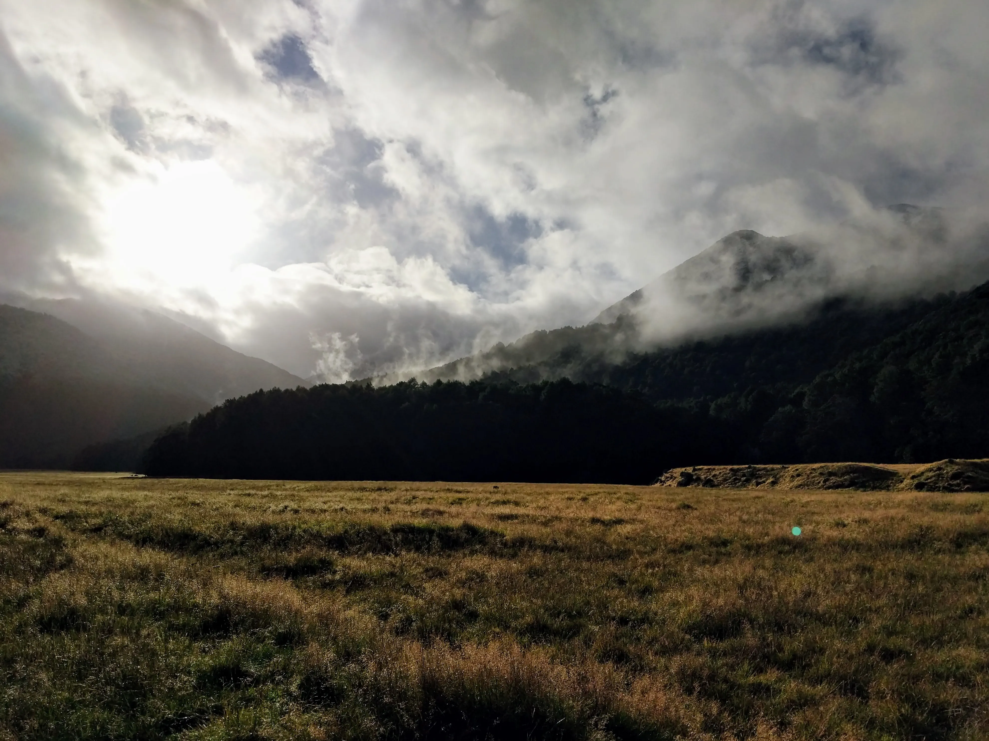 morning fog.bKC4ZvDF.jpg