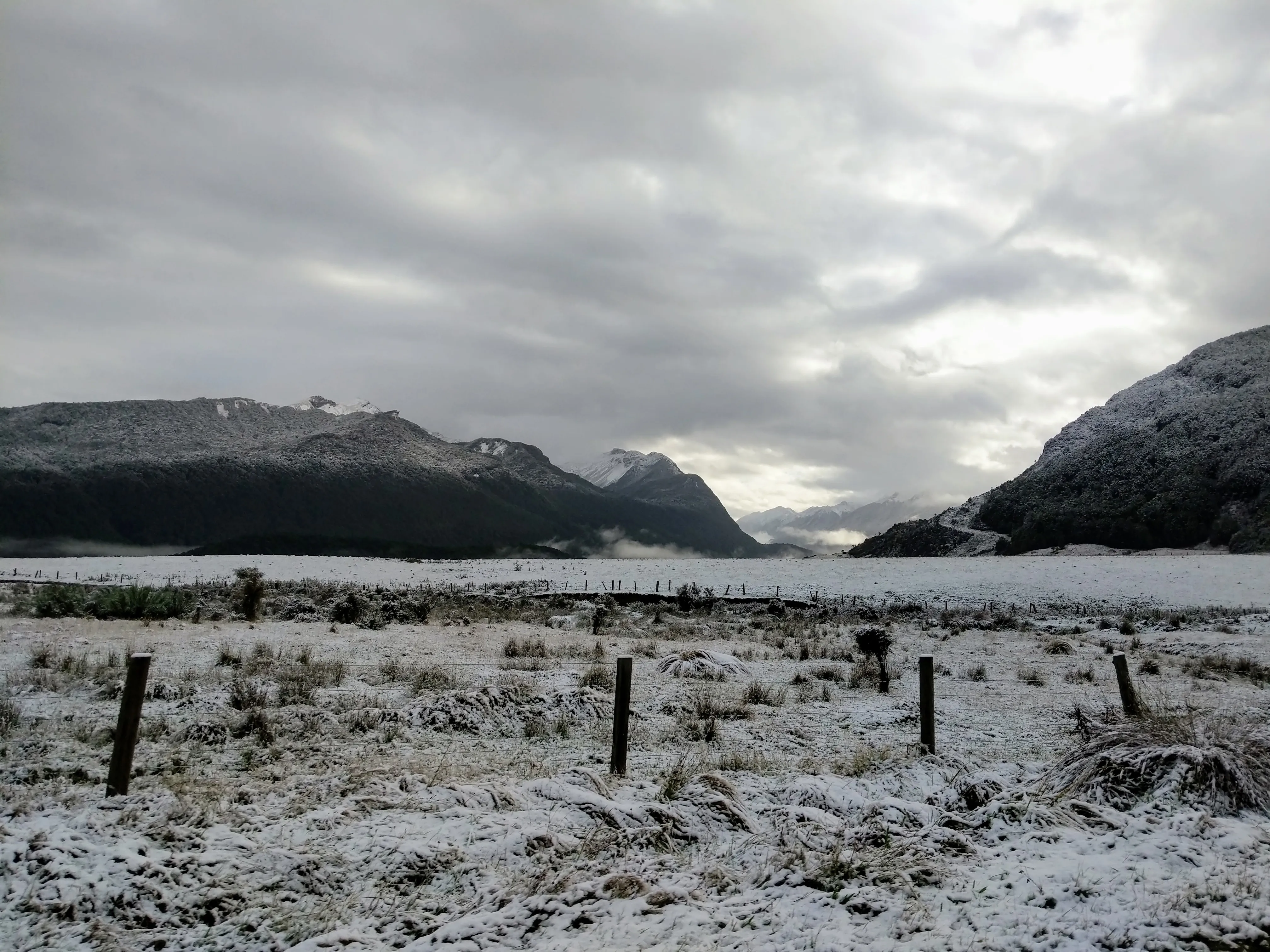 morning snow 1.B3YmfDzu.jpg