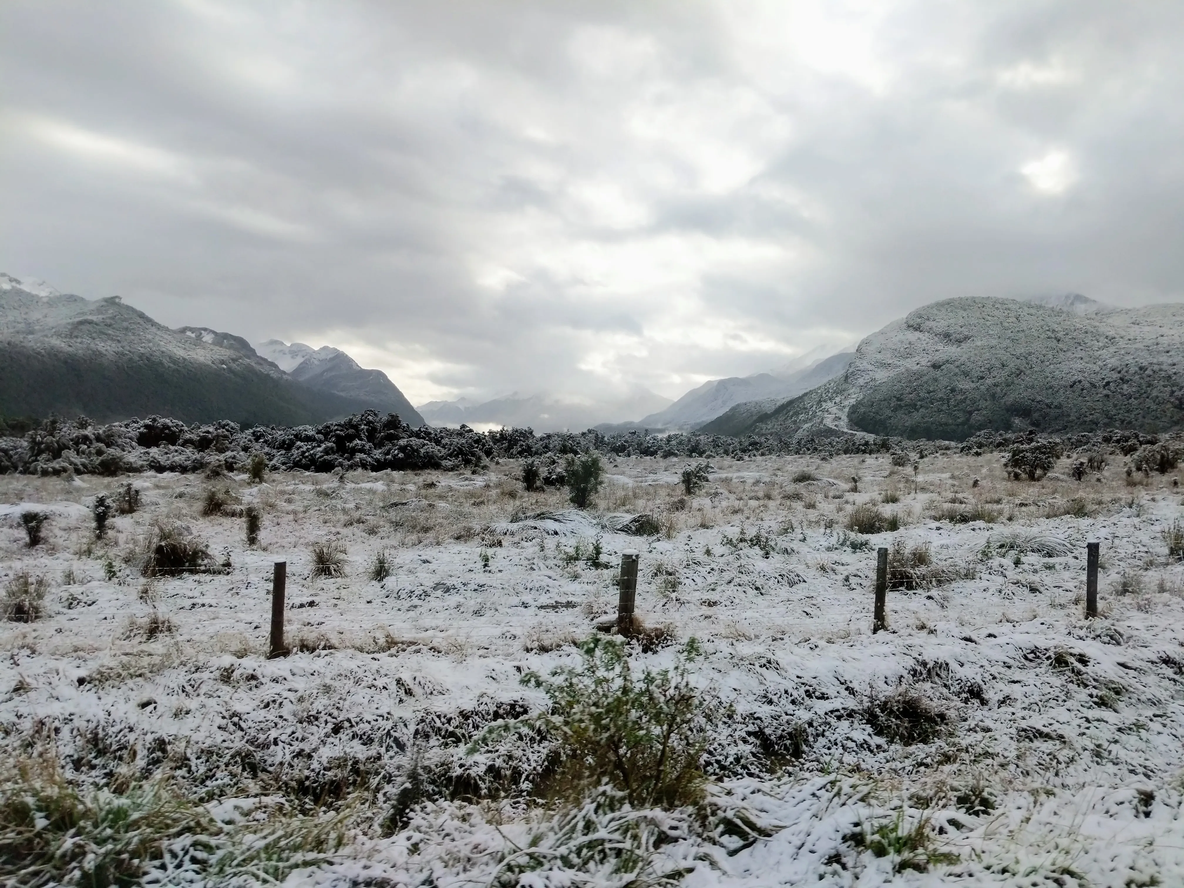 morning snow 3.B9mhm06k.jpg