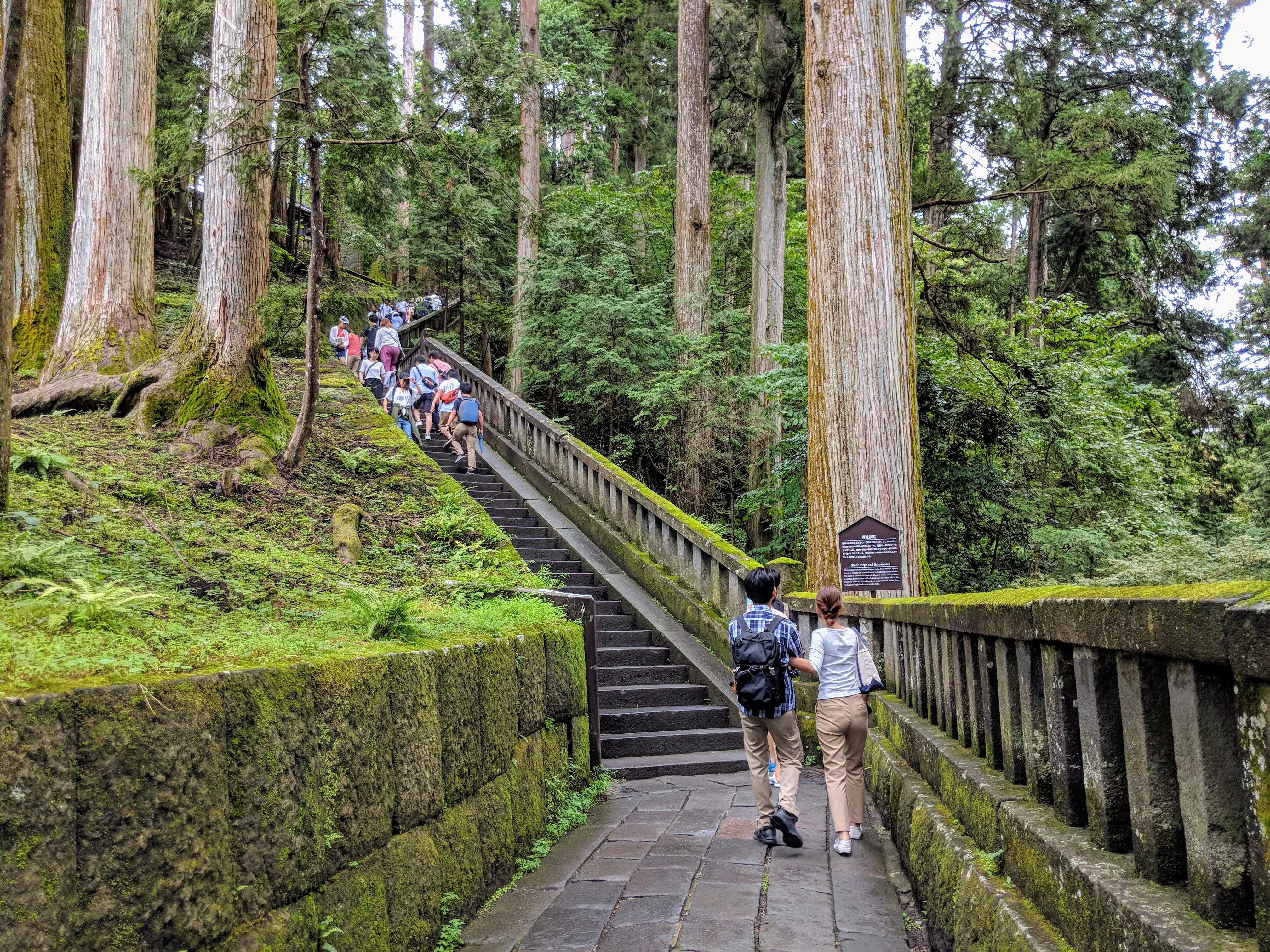 nikko climb.BfQTC6Kh.jpg