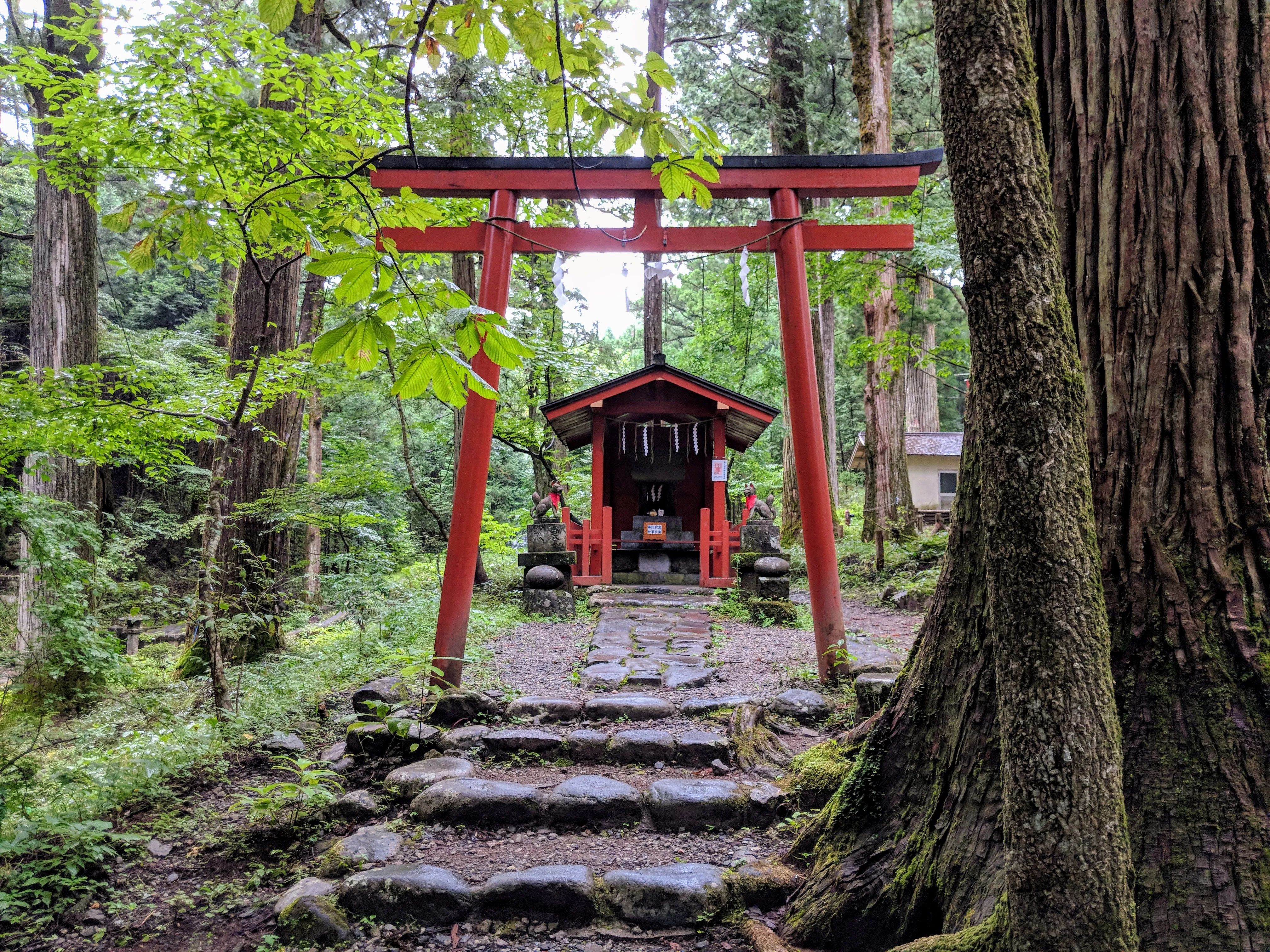 nikko small shrine.BBiZBYxV.jpg