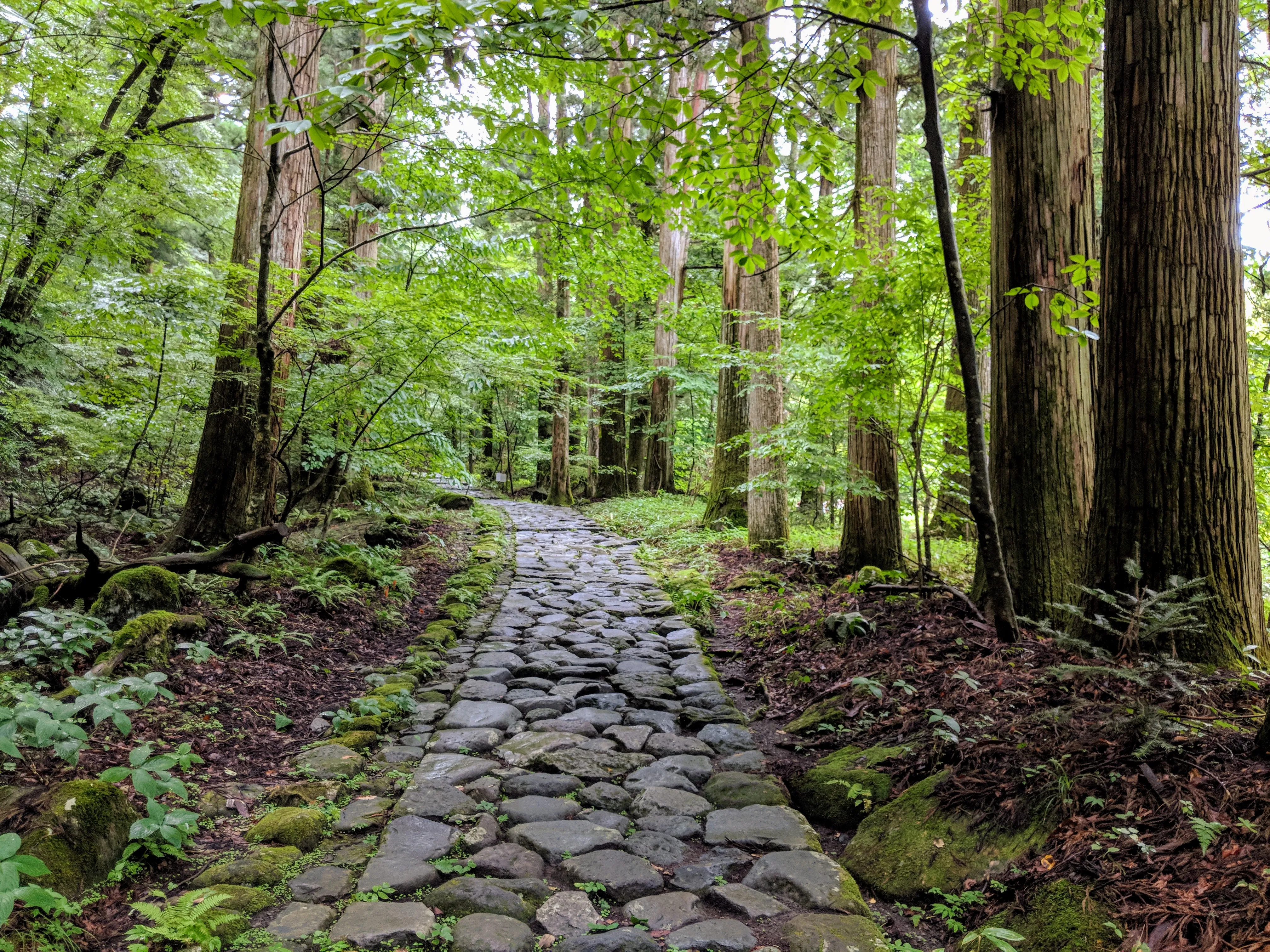 nikko stone path turn.Doo3yTnd.jpg