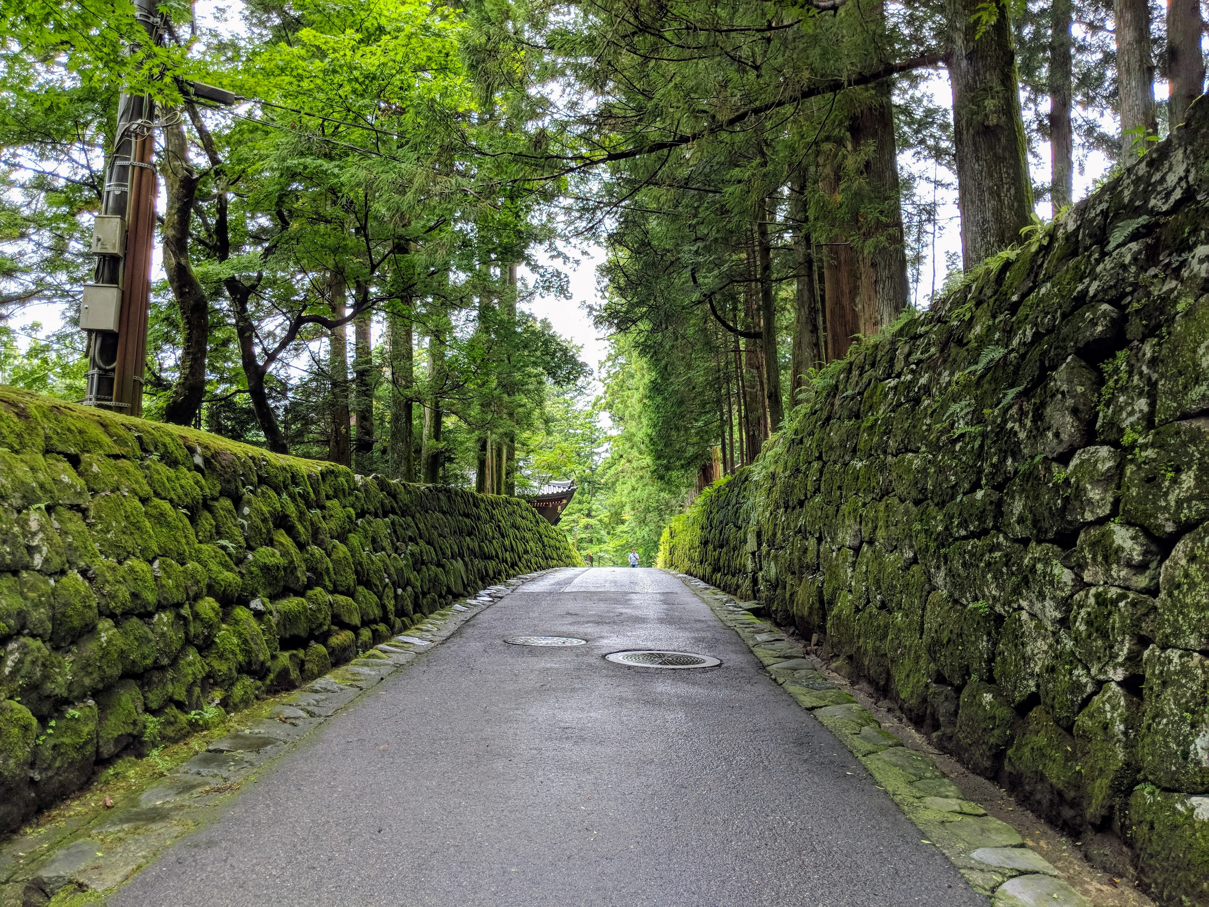 nikko street.DsEiNFC4.jpg