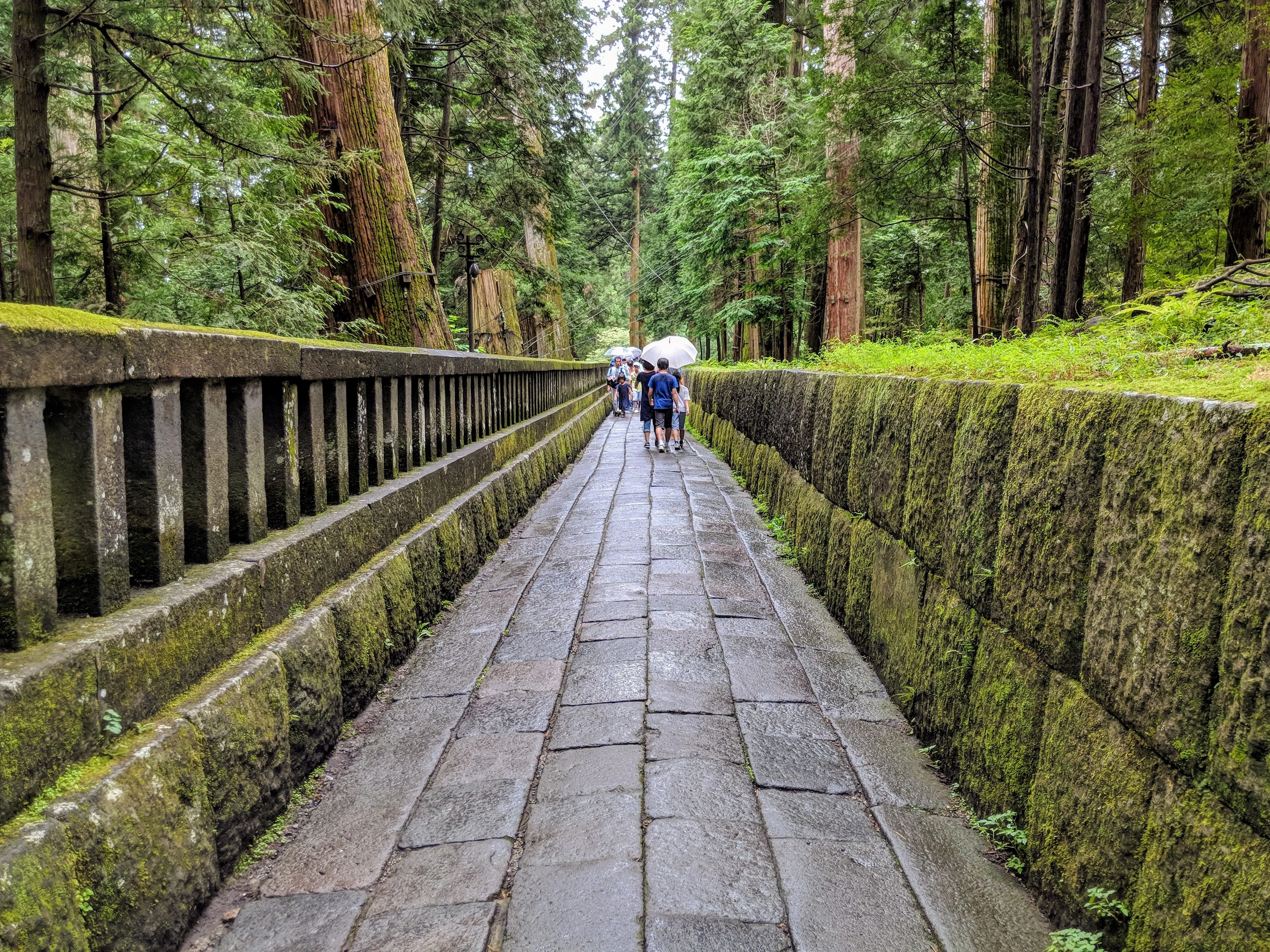 nikko walkway.BDMuKTtg.jpg