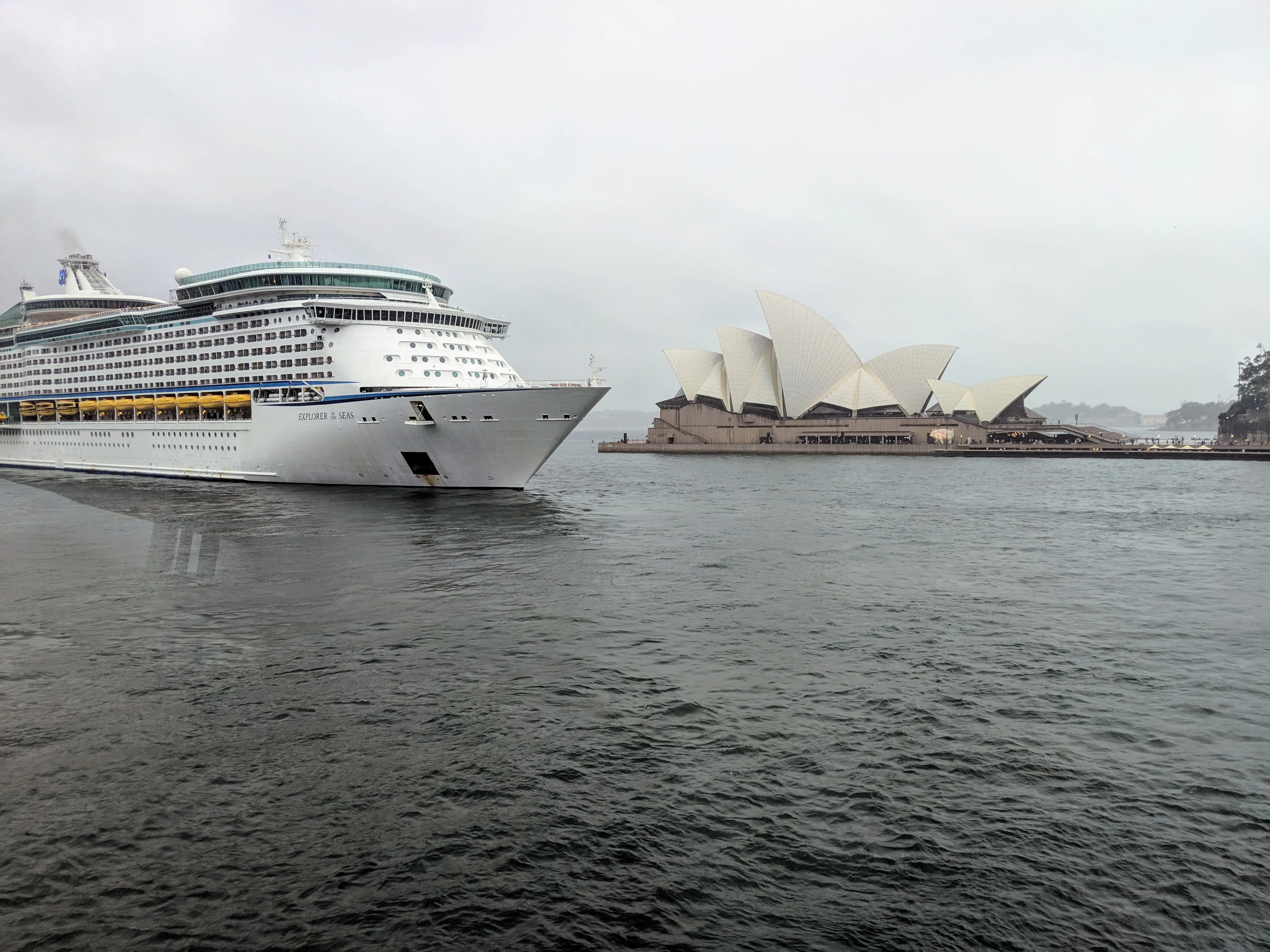 opera house cruise ship.DWrMl1UF.jpg