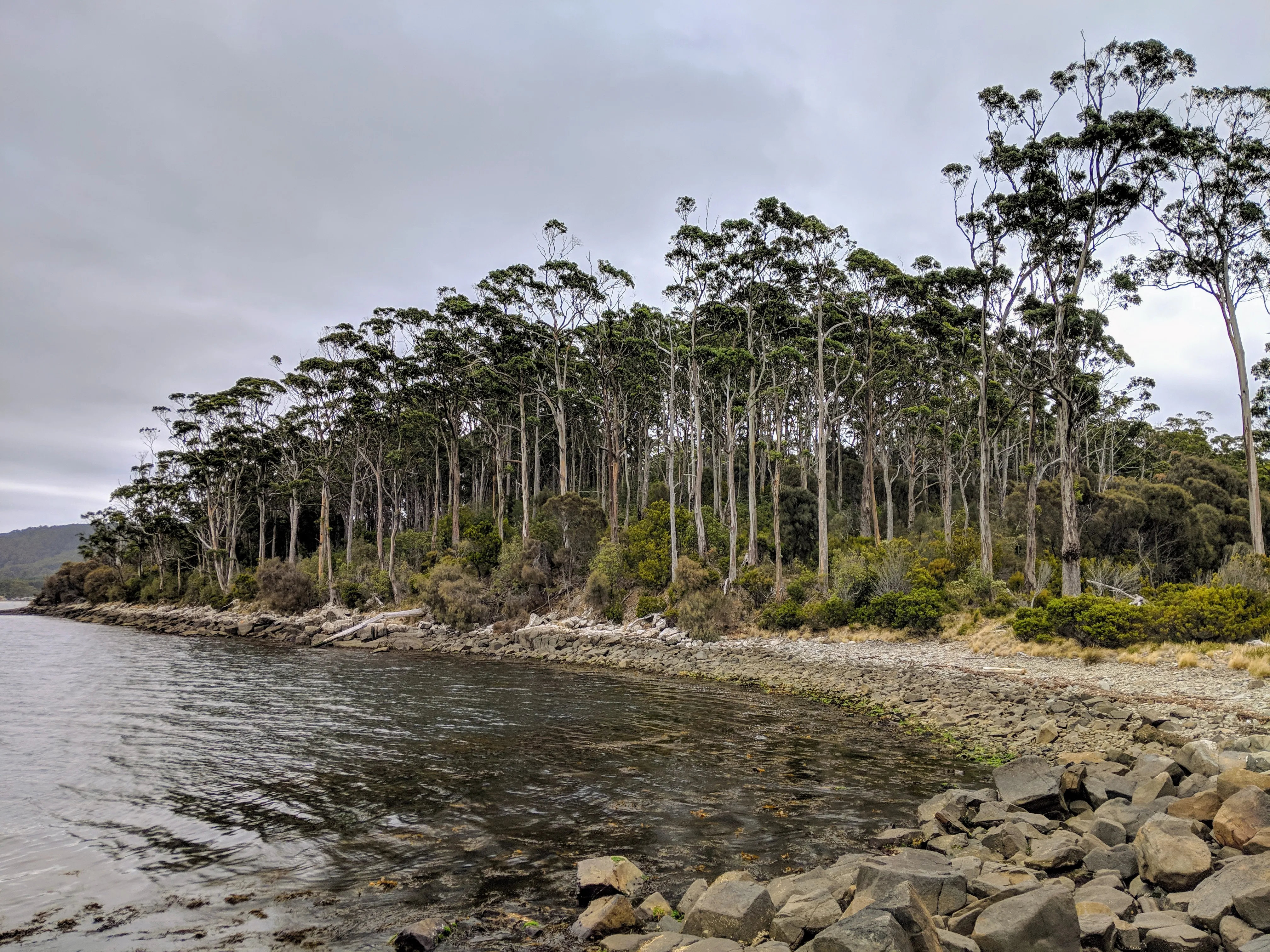port arthur rocky beach.BtH8cYob.jpg