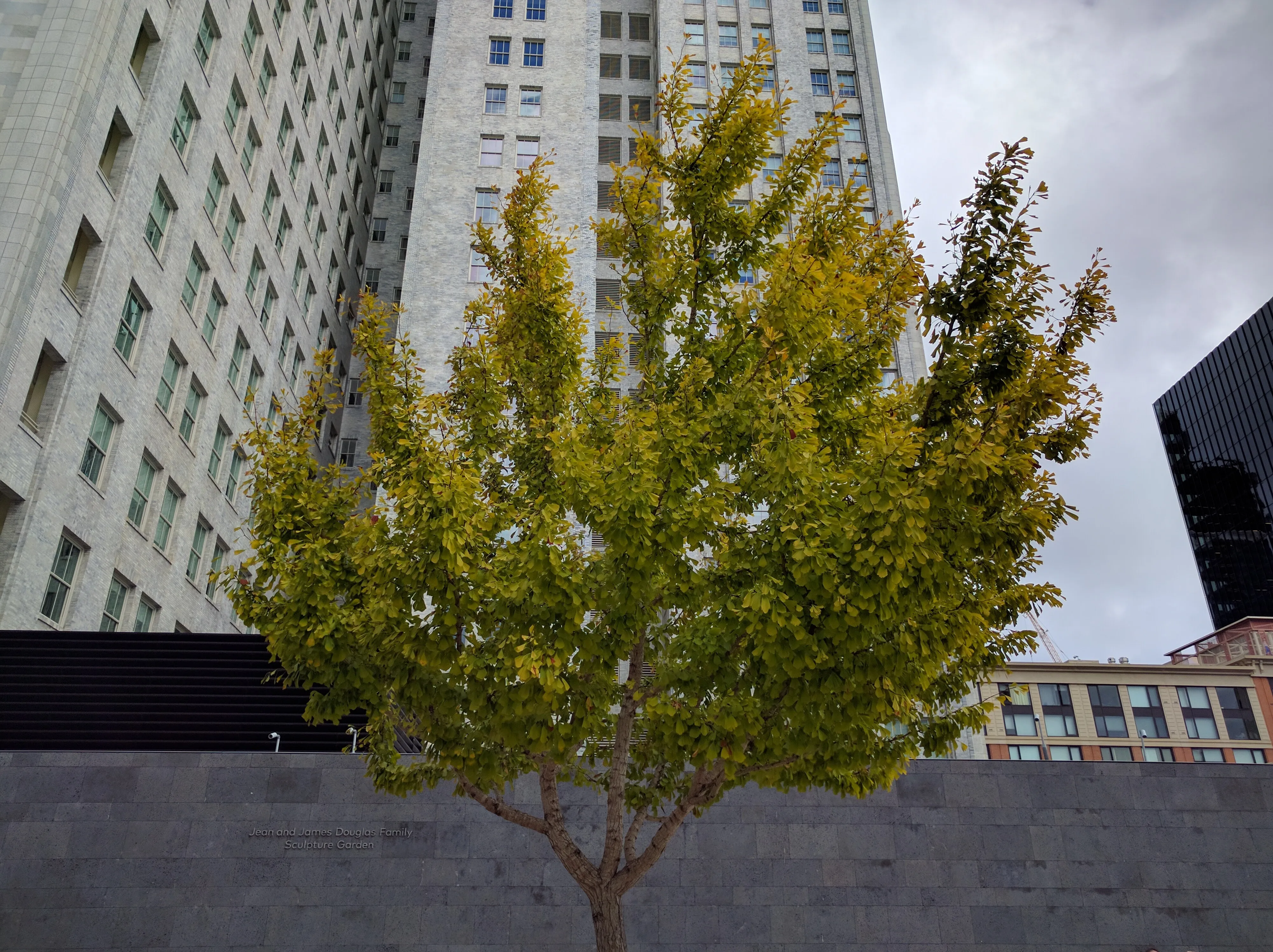 SF MoMA