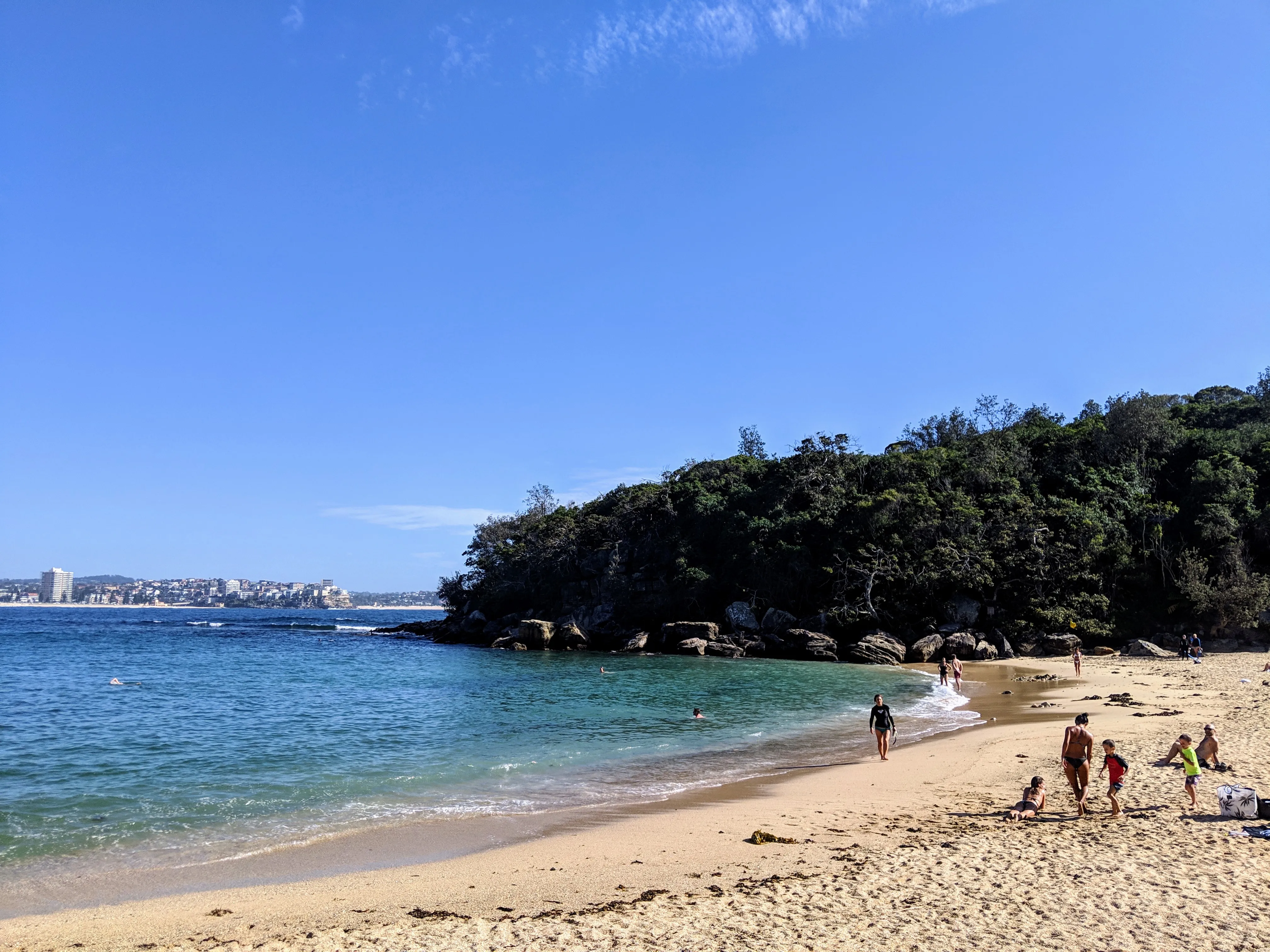 shelly beach.qrwCt9Cx.jpg