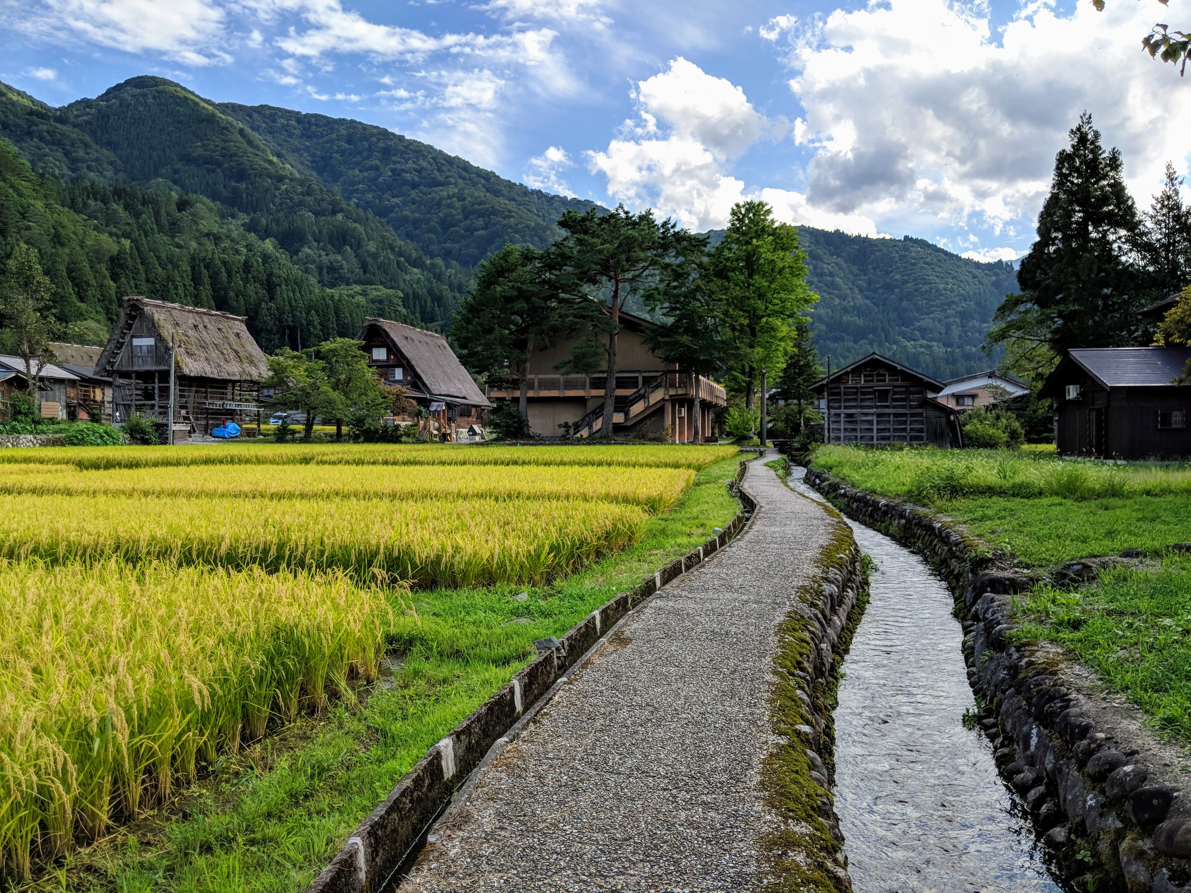 shirakawago walkway 2.DSyC2dCk.jpg