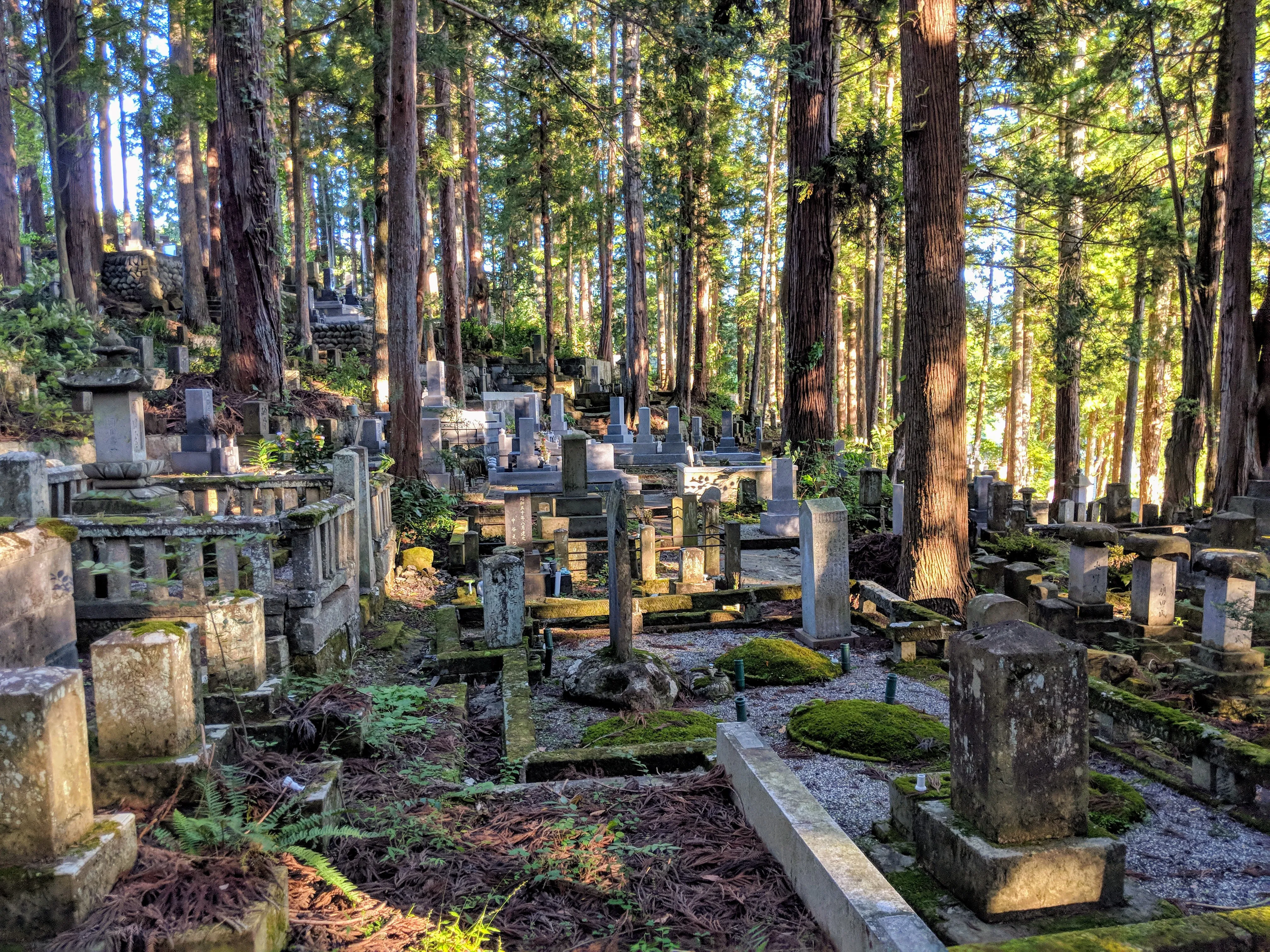 takayama graveyard woods.Brmp_g4g.jpg