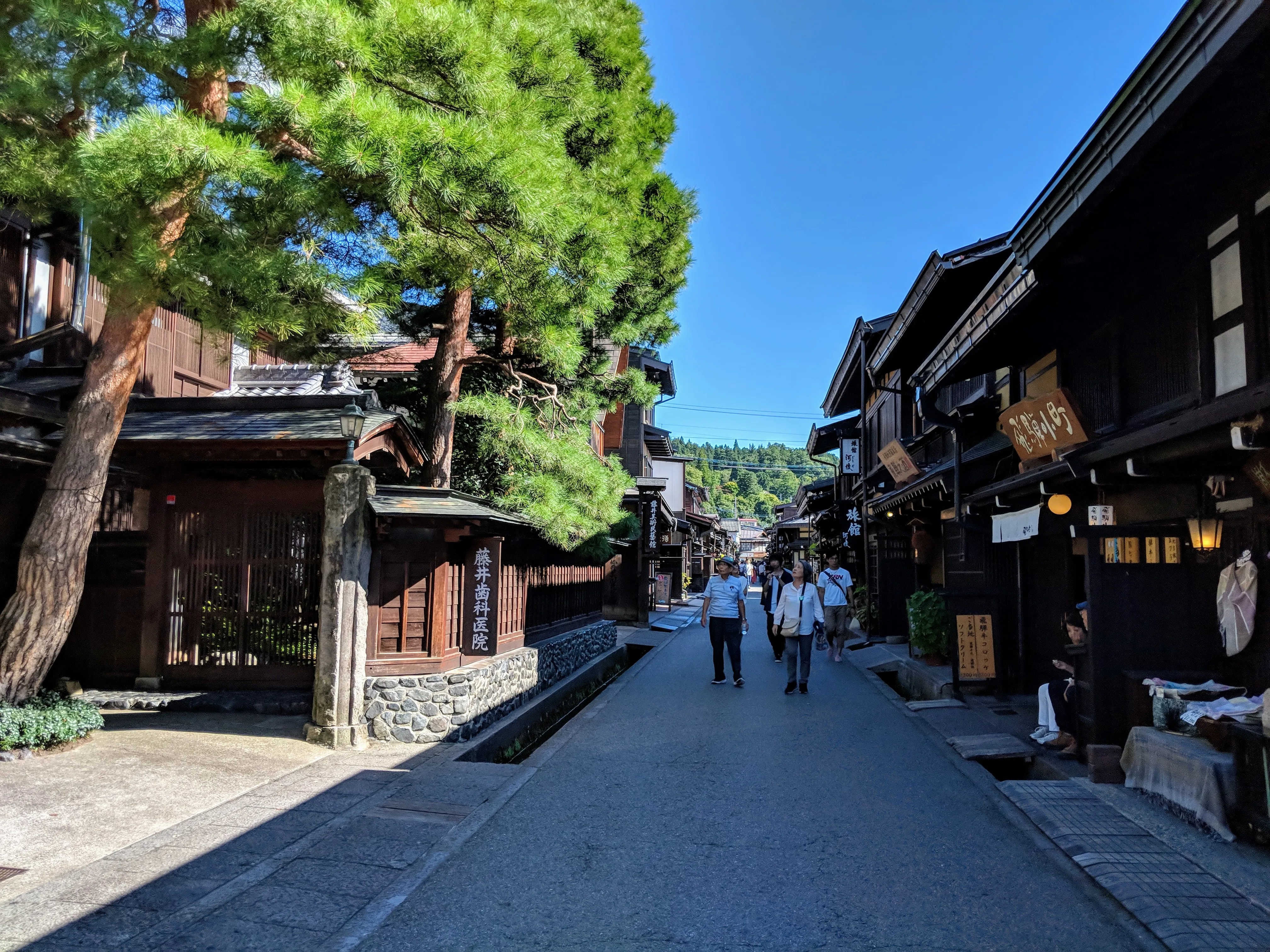 takayama street tree.BOO_WF_p.jpg
