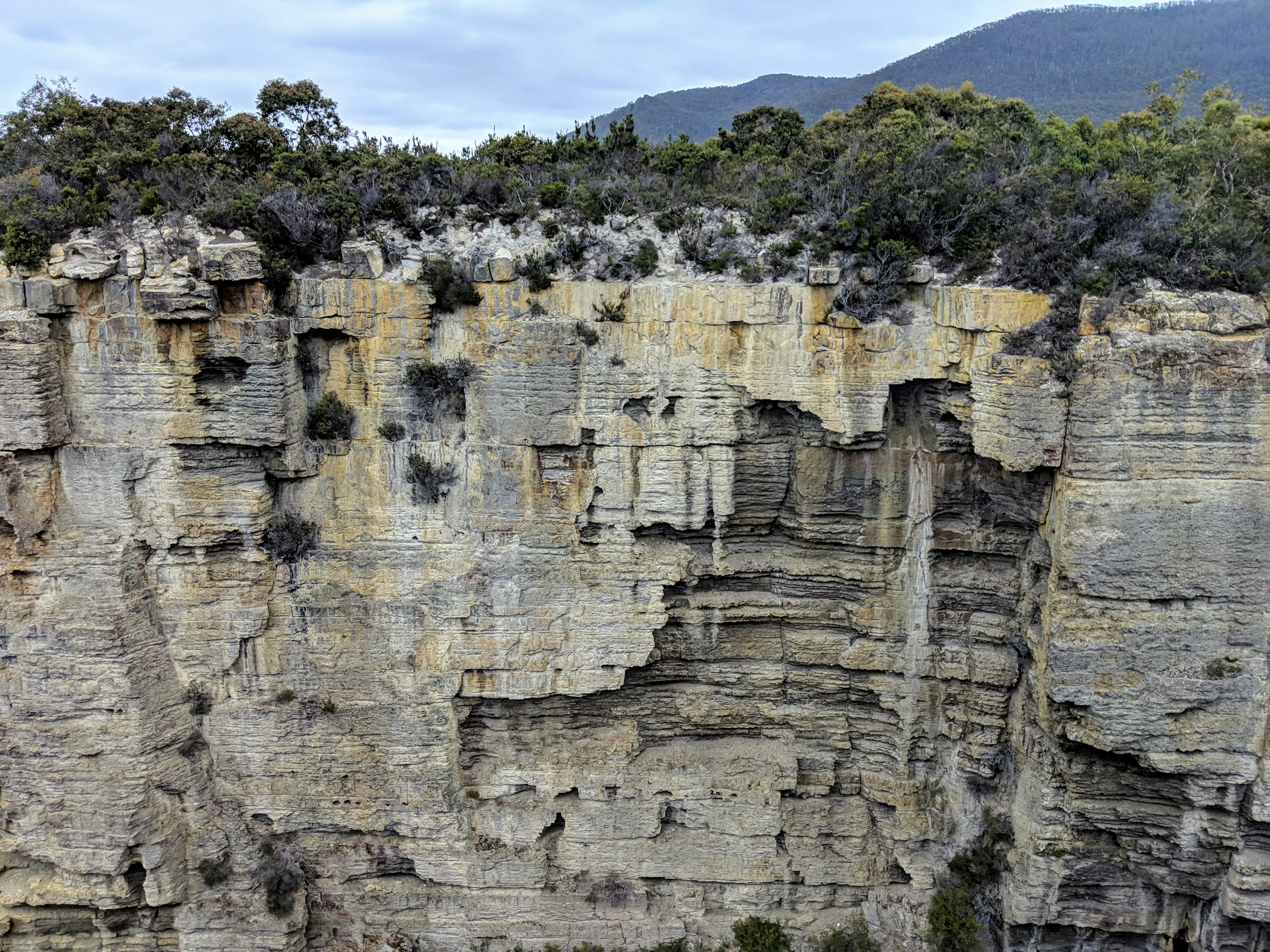 tasman cliff.BrFtFfmE.jpg