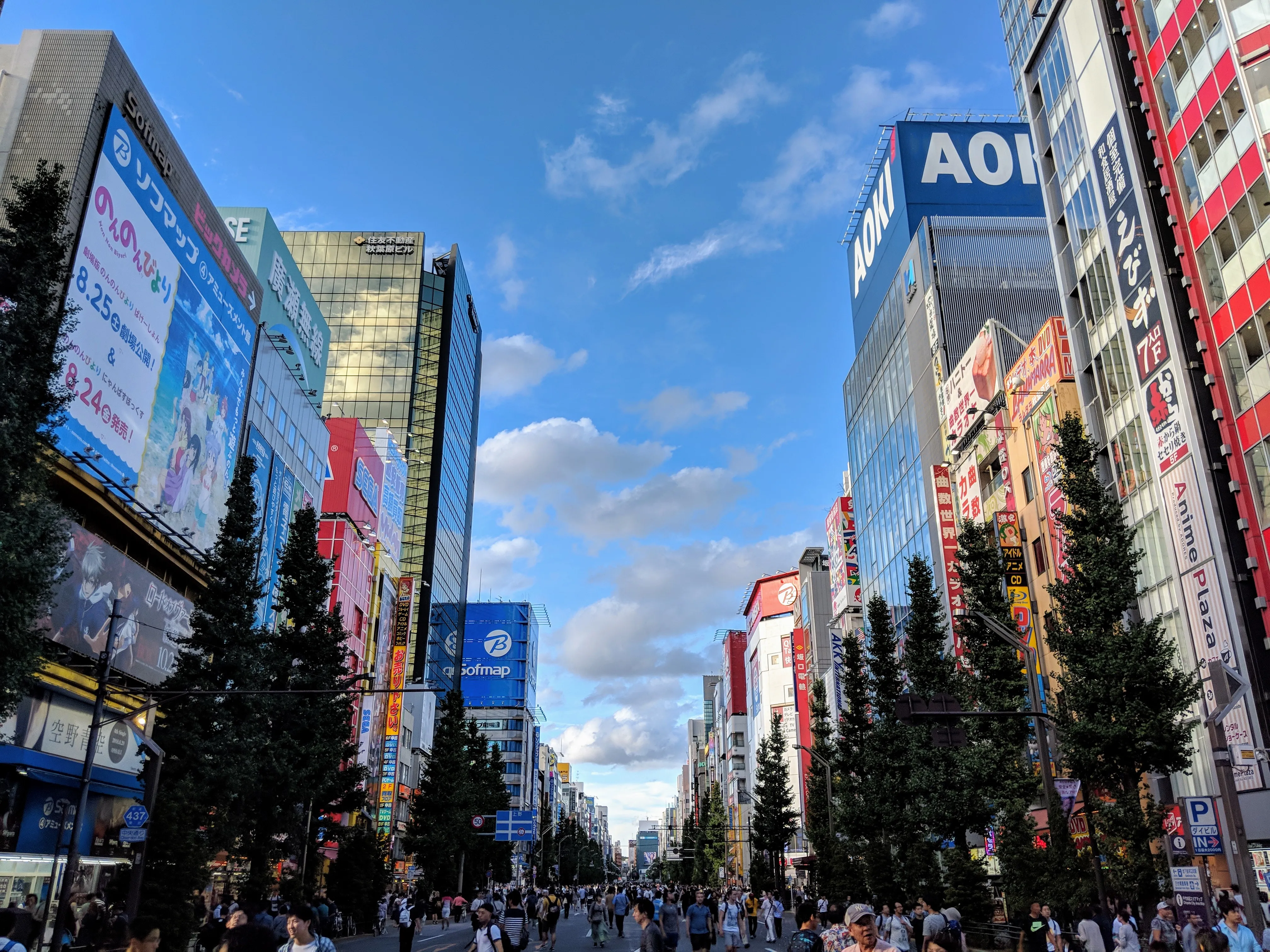 tokyo akihabara.Bk5Bl_GS.jpg
