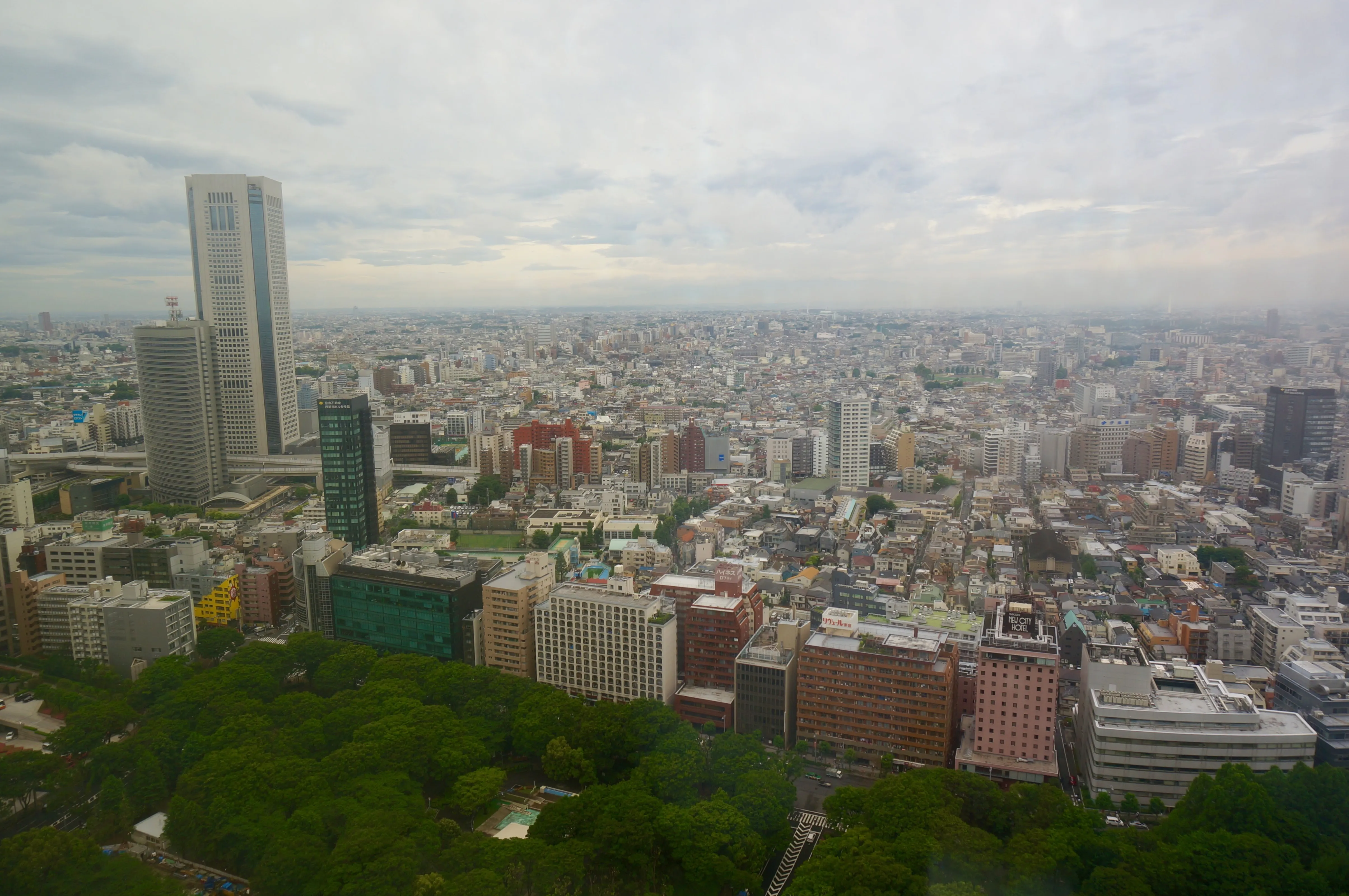 tokyo city.ucBSWIE2.jpg