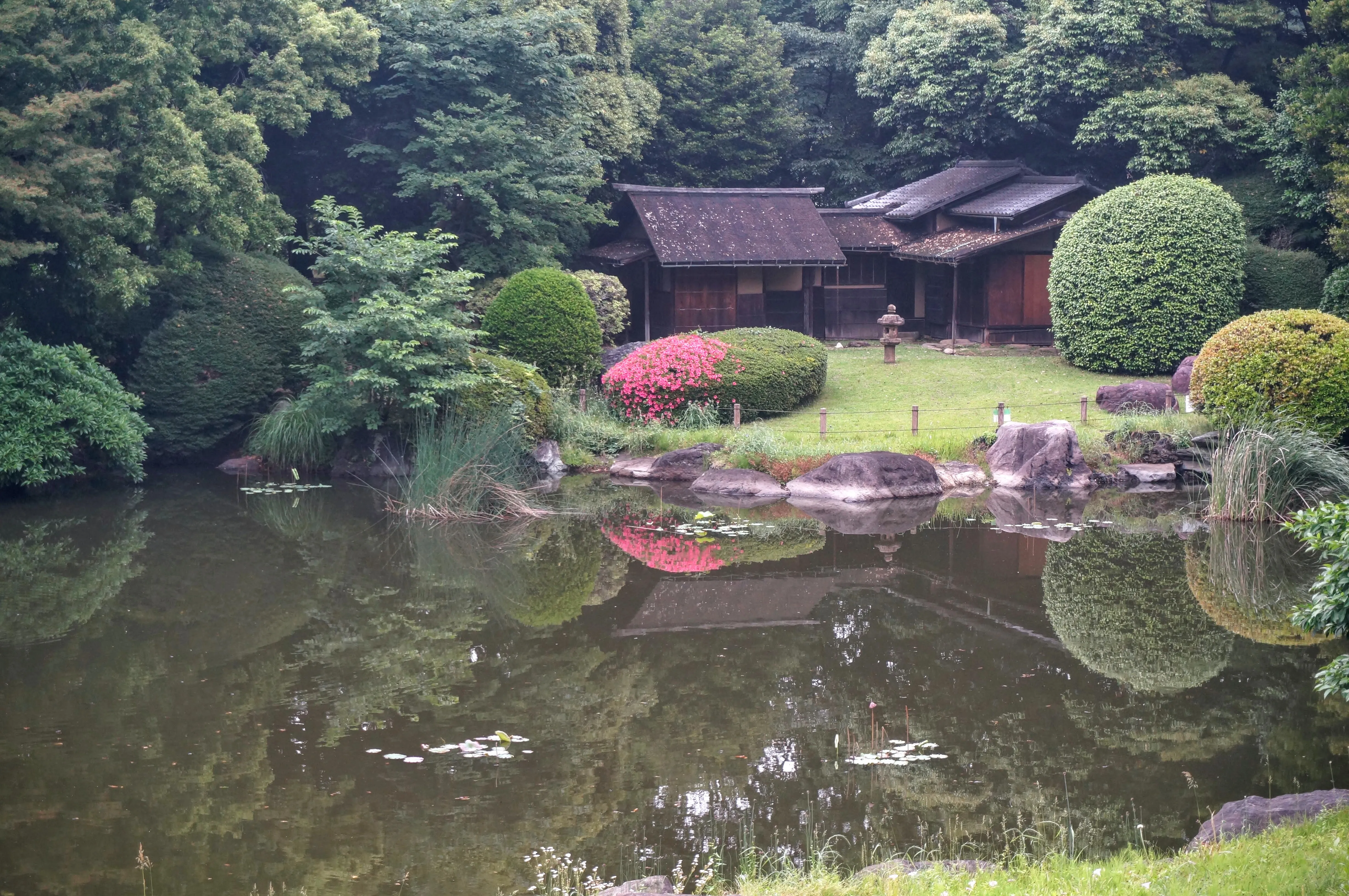 tokyo museum lake.Dtpq00A1.jpg