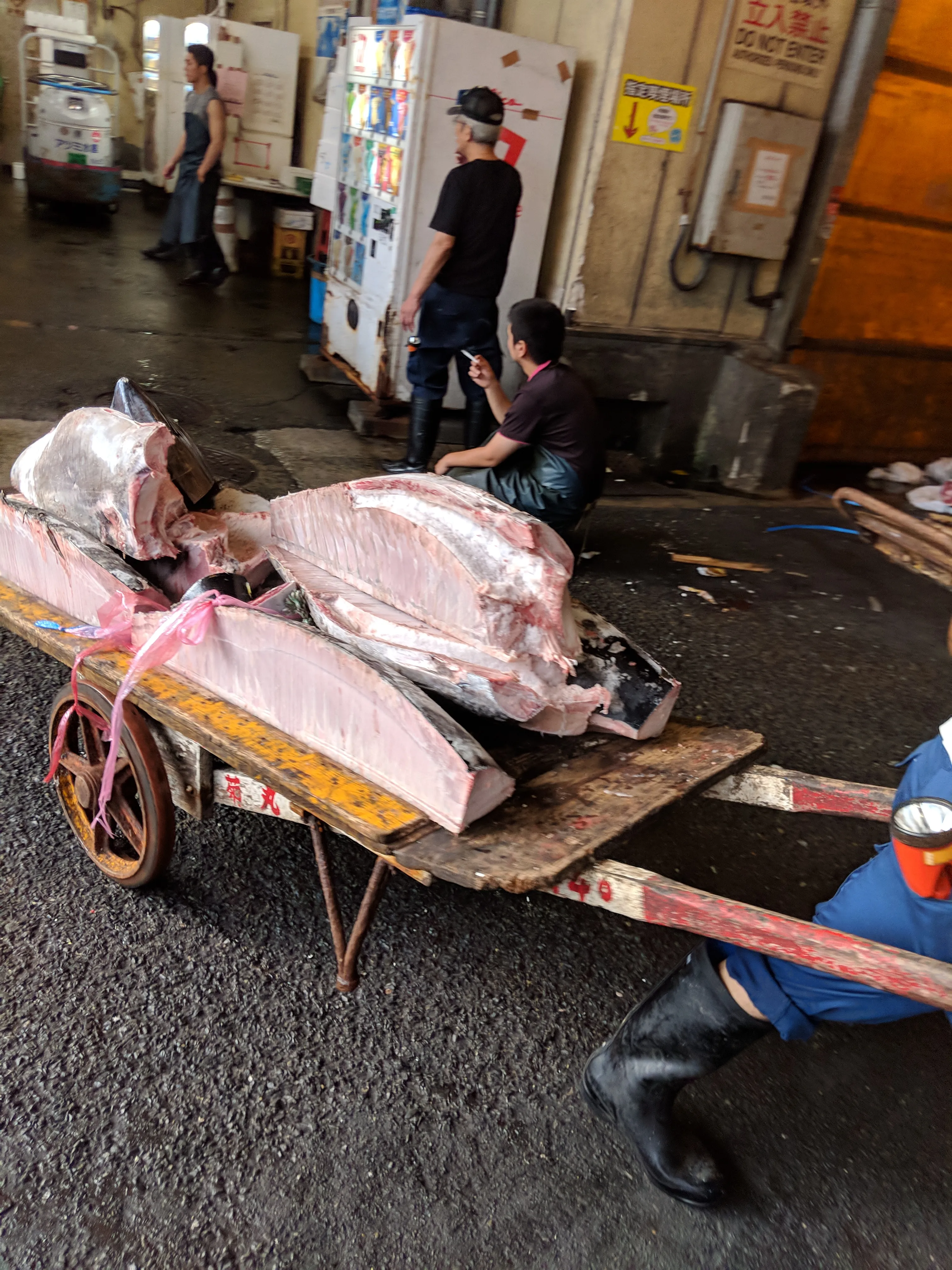 tokyo tsukiji fish on the move 2.vu2dFI4b.jpg