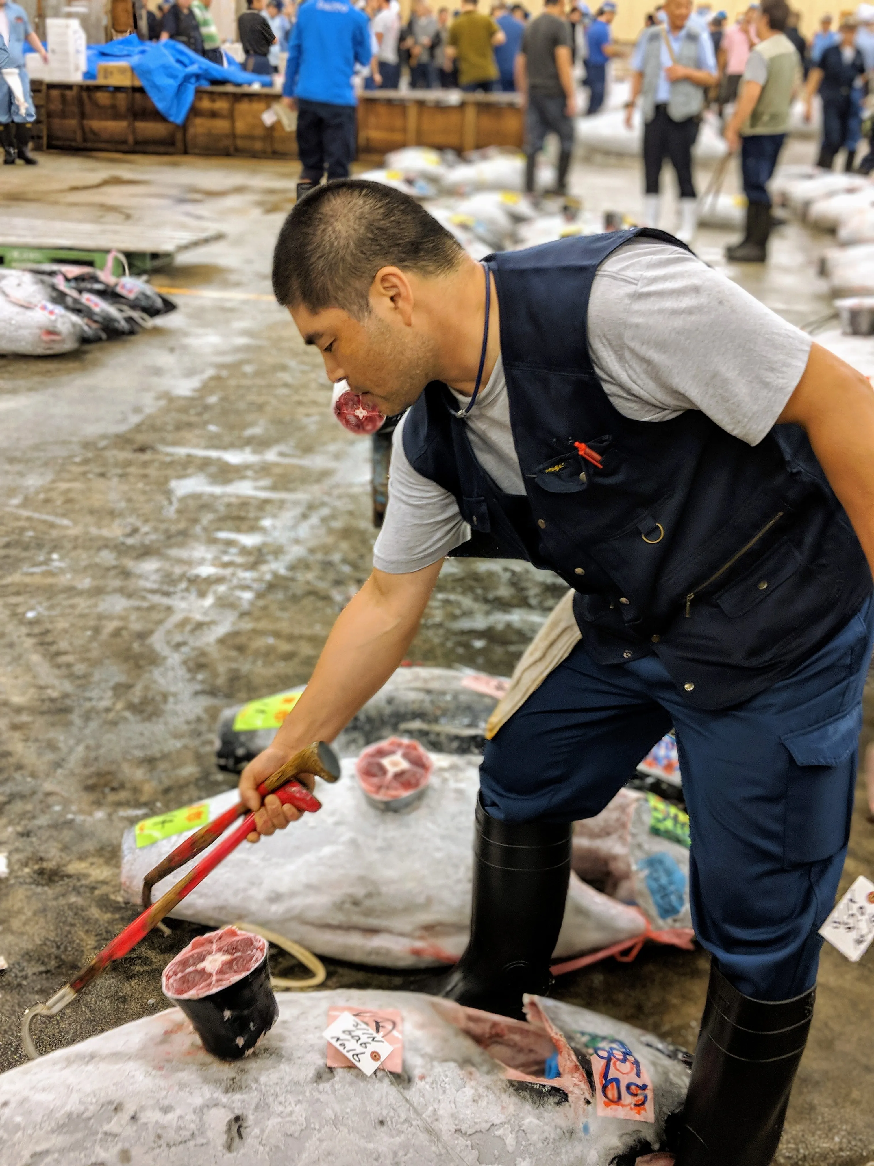 tokyo tsukiji hook.CWbGvzSy.jpg